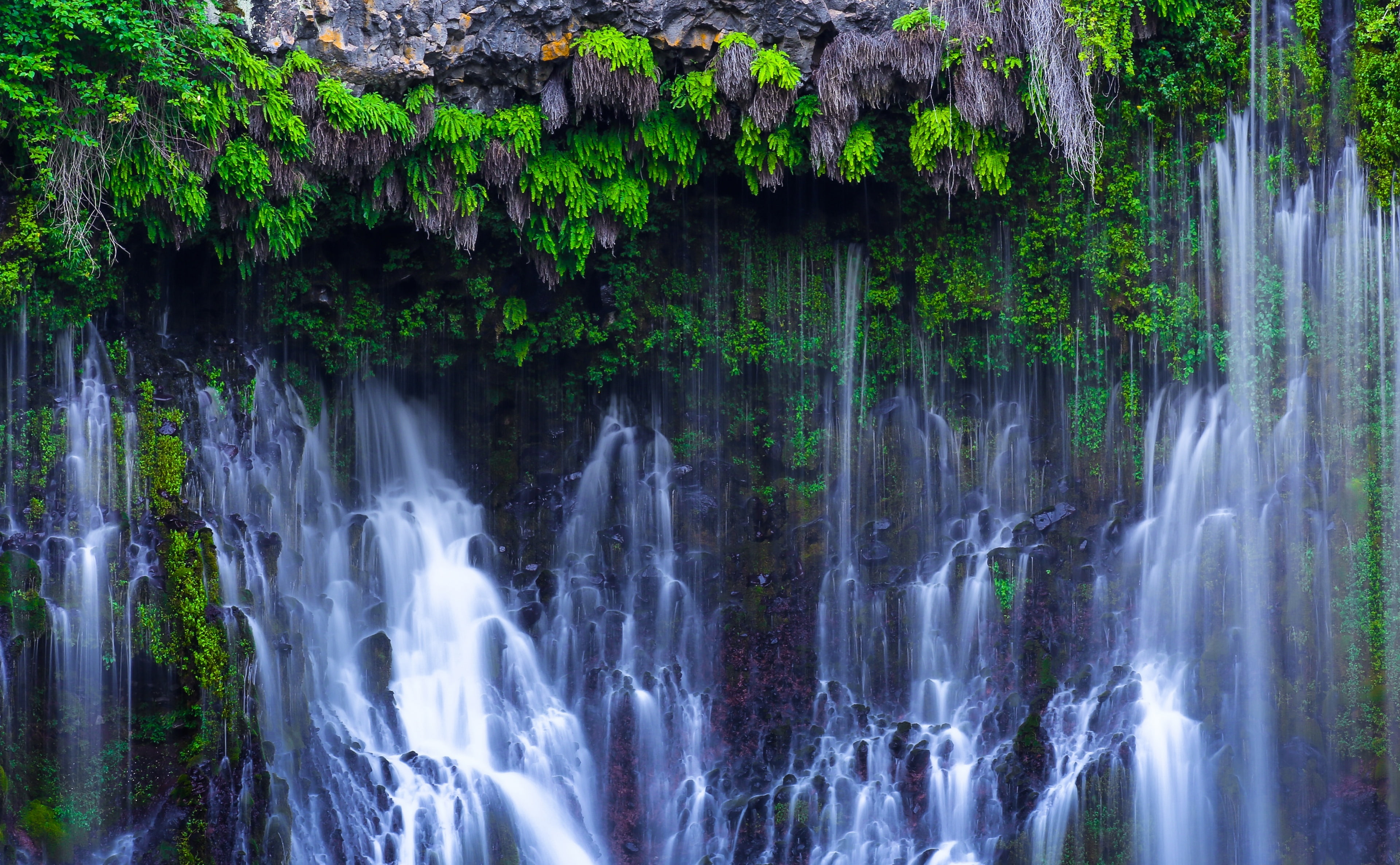 United States, rock, California, solid, scenics - nature, outdoors, long exposure, forest, no people, shasta, cayton, rock formation, 4K, Falls, growth, HD Wallpaper