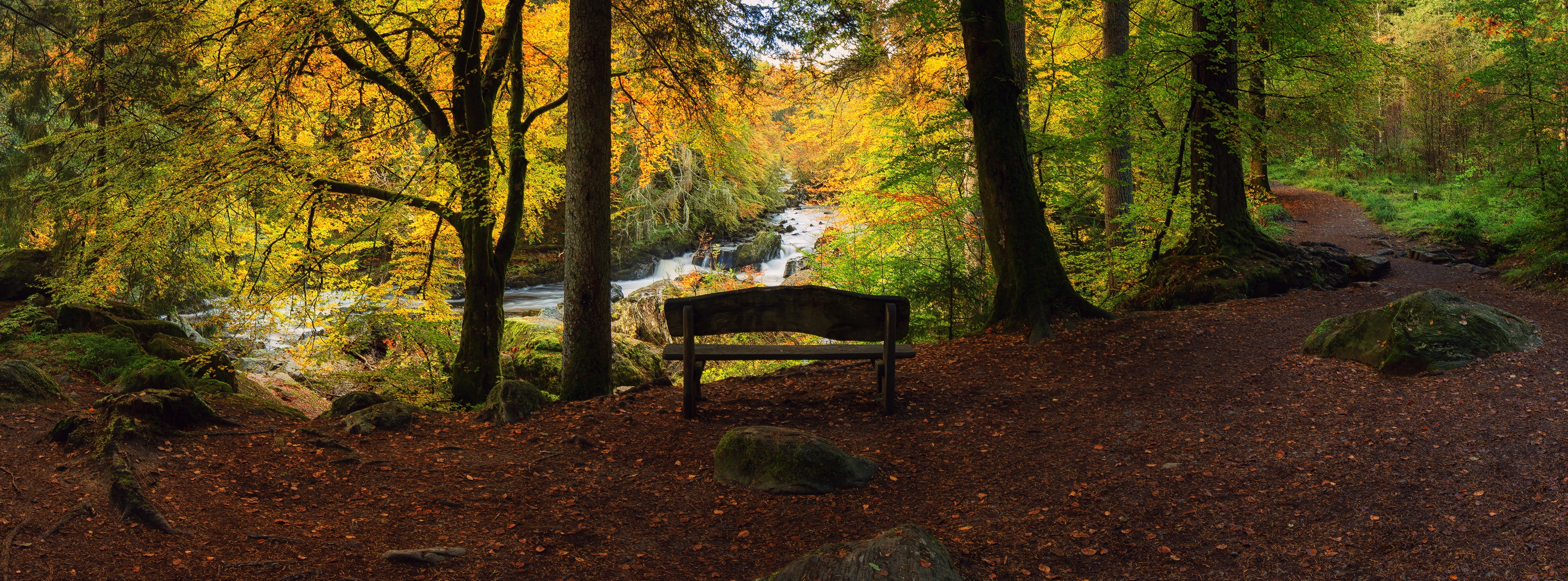 BlackLinn, Waterfall, plant, environment, Scene, forest, tree, visit, Nature, Fall, land, stream - flowing water, tranquility, Landscape, Scenery, Outdoor, HD Wallpaper