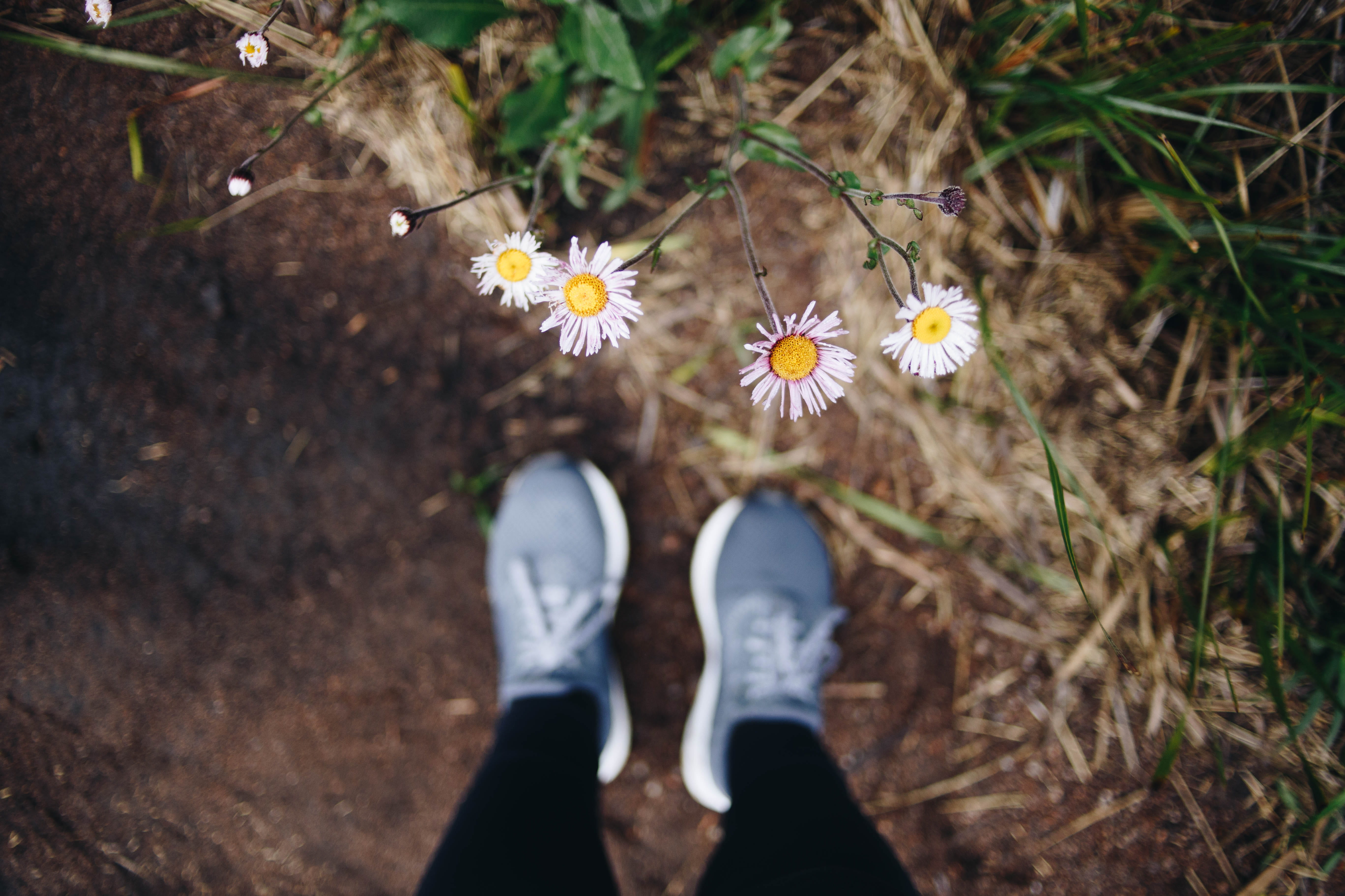 land, clothing, body part, footwear, human foot, human, canon6d, anemone, personal perspective, canon, high angle view, flower head, vulnerability, human leg, HD Wallpaper