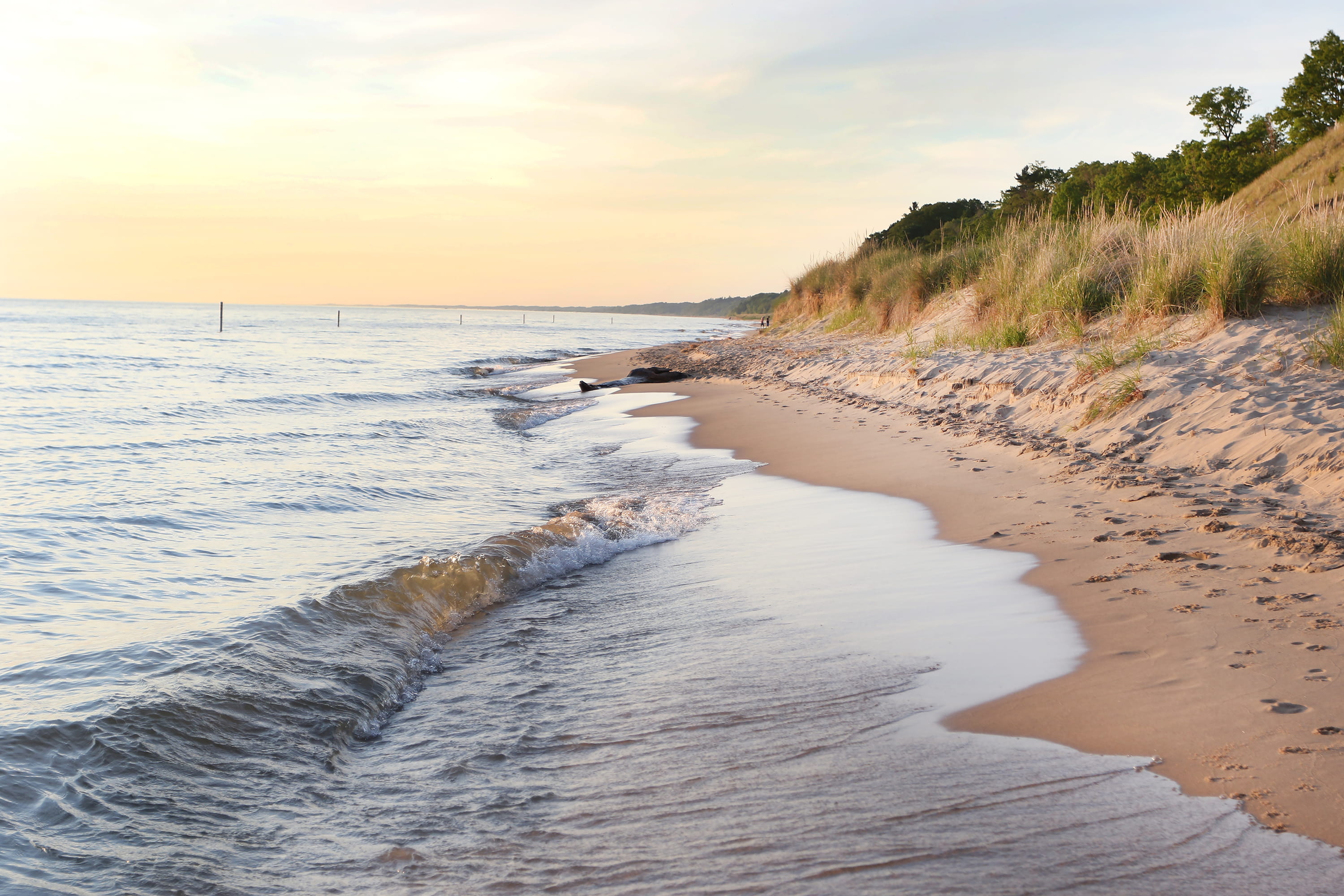 wave, lake michigan, idyllic, nature, kirk park, trees, sea, dunes, land, motion, sky, water, sunset, beauty in nature, horizon over water, united states, HD Wallpaper