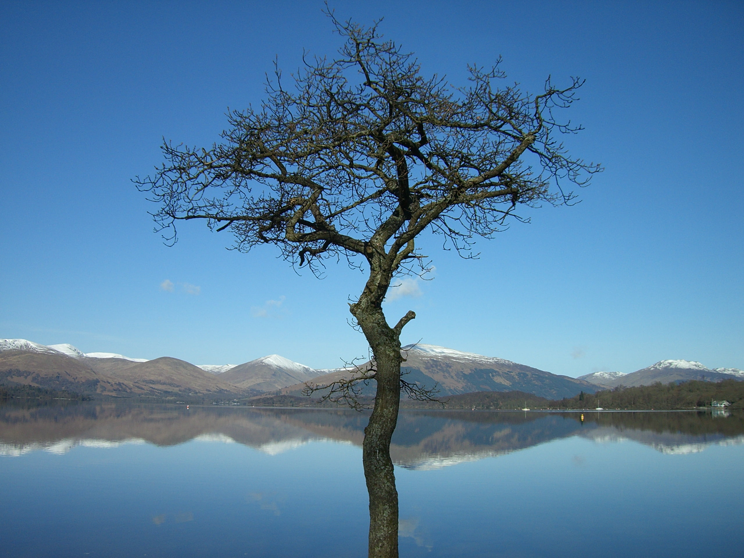 mountain, 2K, sky, tree, outdoors, loch, Loch Lomond, scenics, lochlomond, river, lake, nature, water, bare, landscape, middle, blue, reflection, lomond, HD Wallpaper