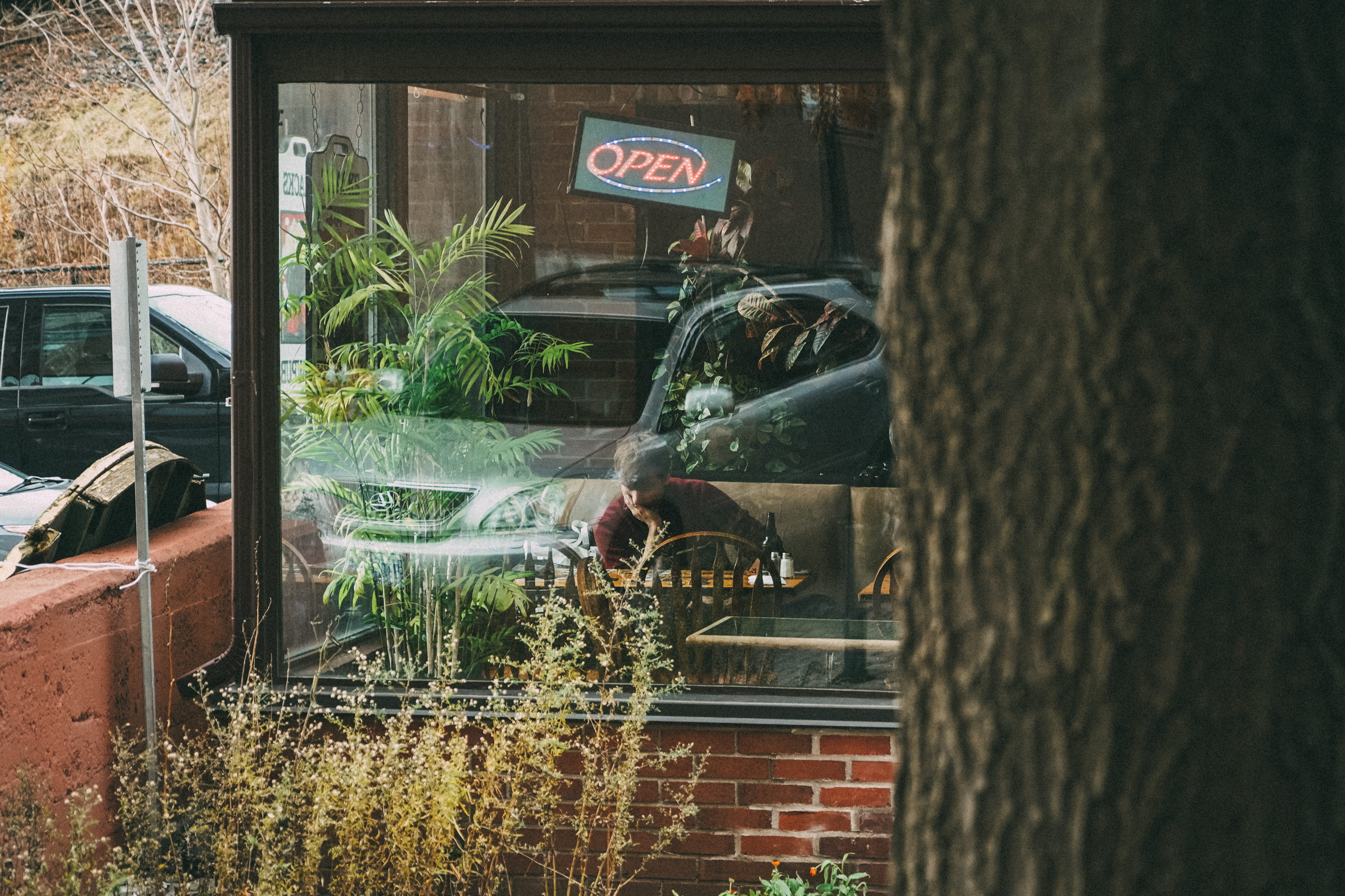 outdoors, sign, window, communication, text, architecture, store, glass, automobile, machine, spoke, plant, building exterior, home decor, glass - material, HD Wallpaper