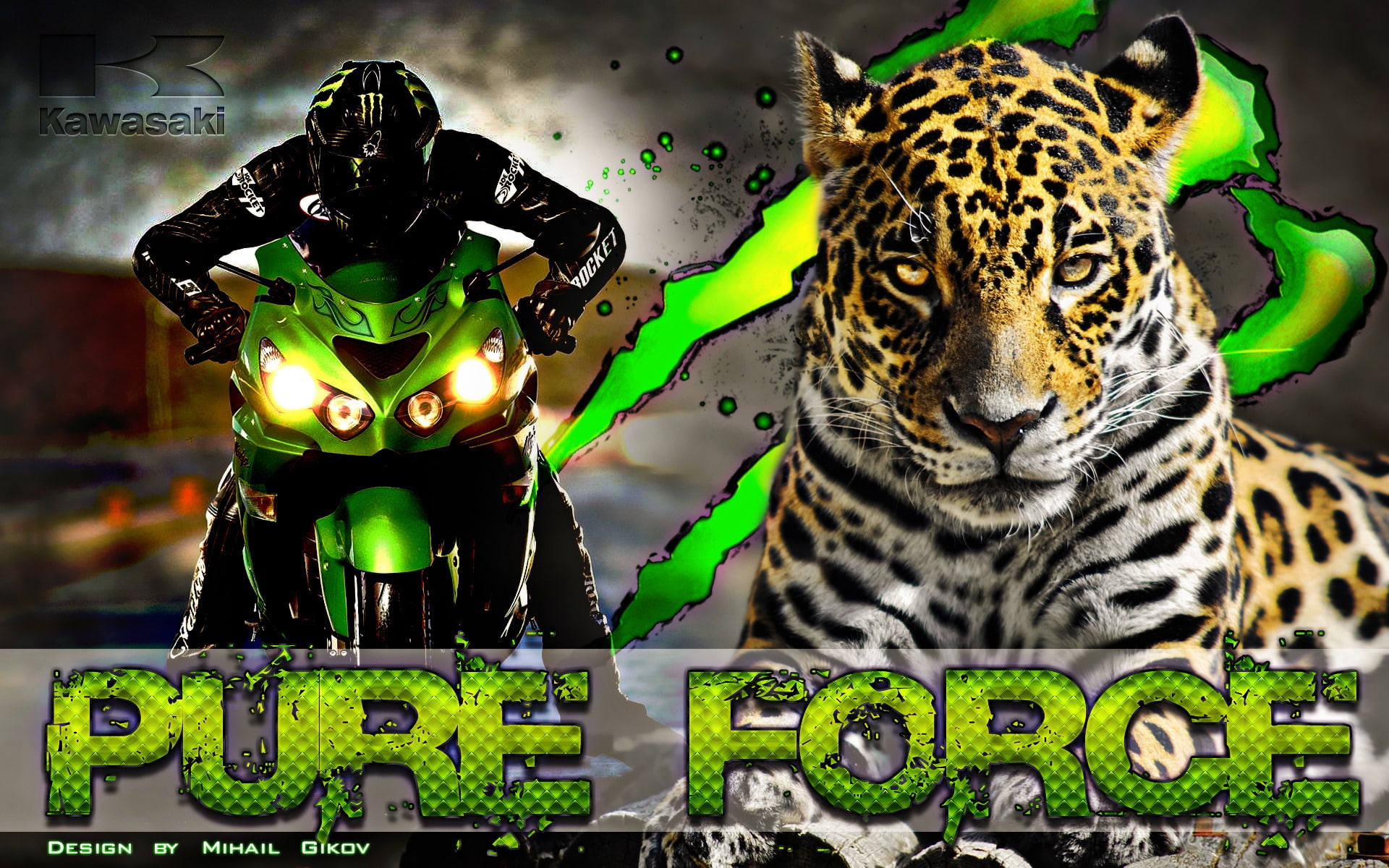 race, sportsbike, leopard, 1080P, kawasaki, force, background, pure, HD Wallpaper