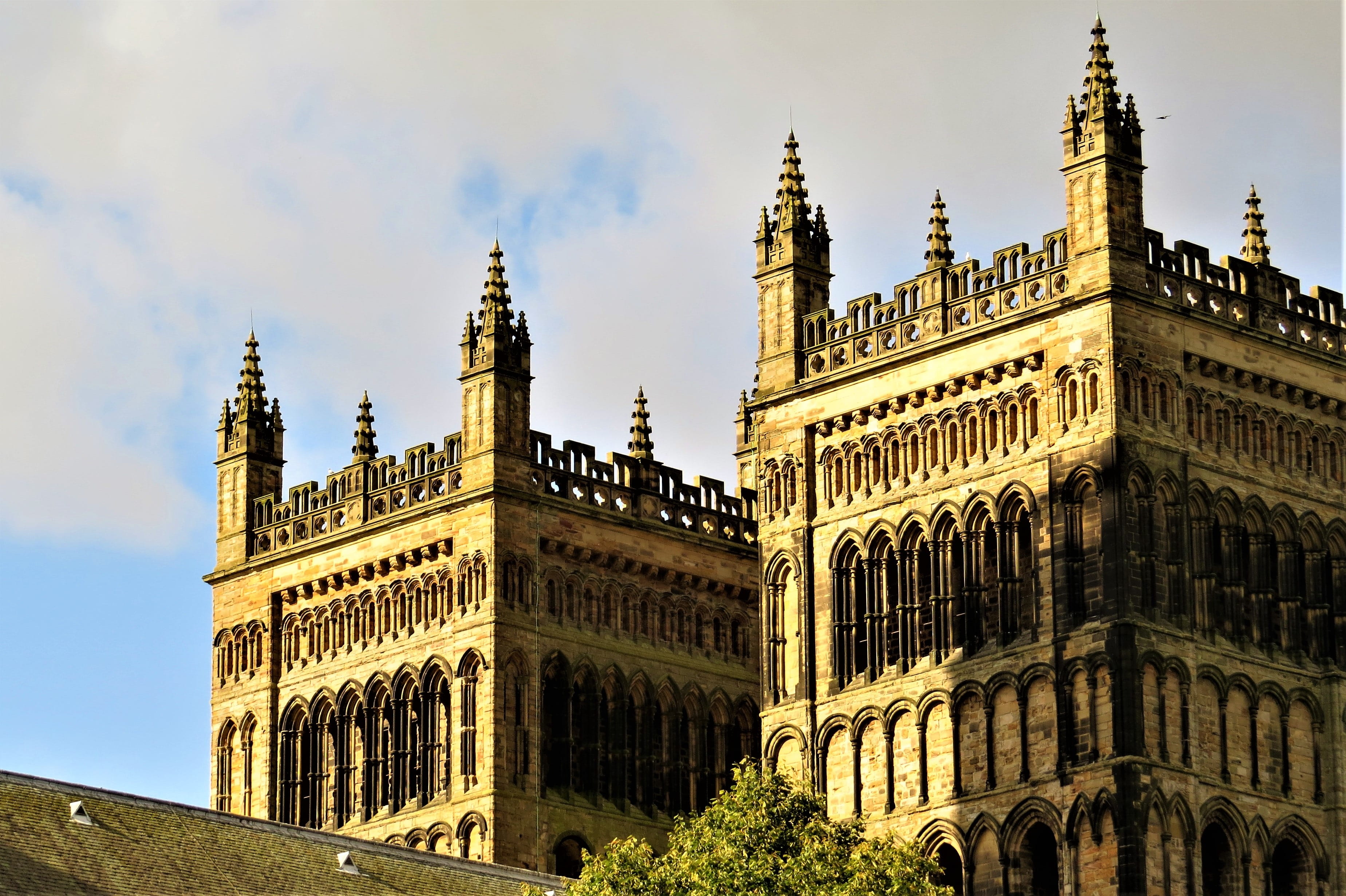 built structure, durham, interior, historically, building exterior, spire, government, outdoors, city, plant, architecture, cathedral, cloud - sky, nature, HD Wallpaper
