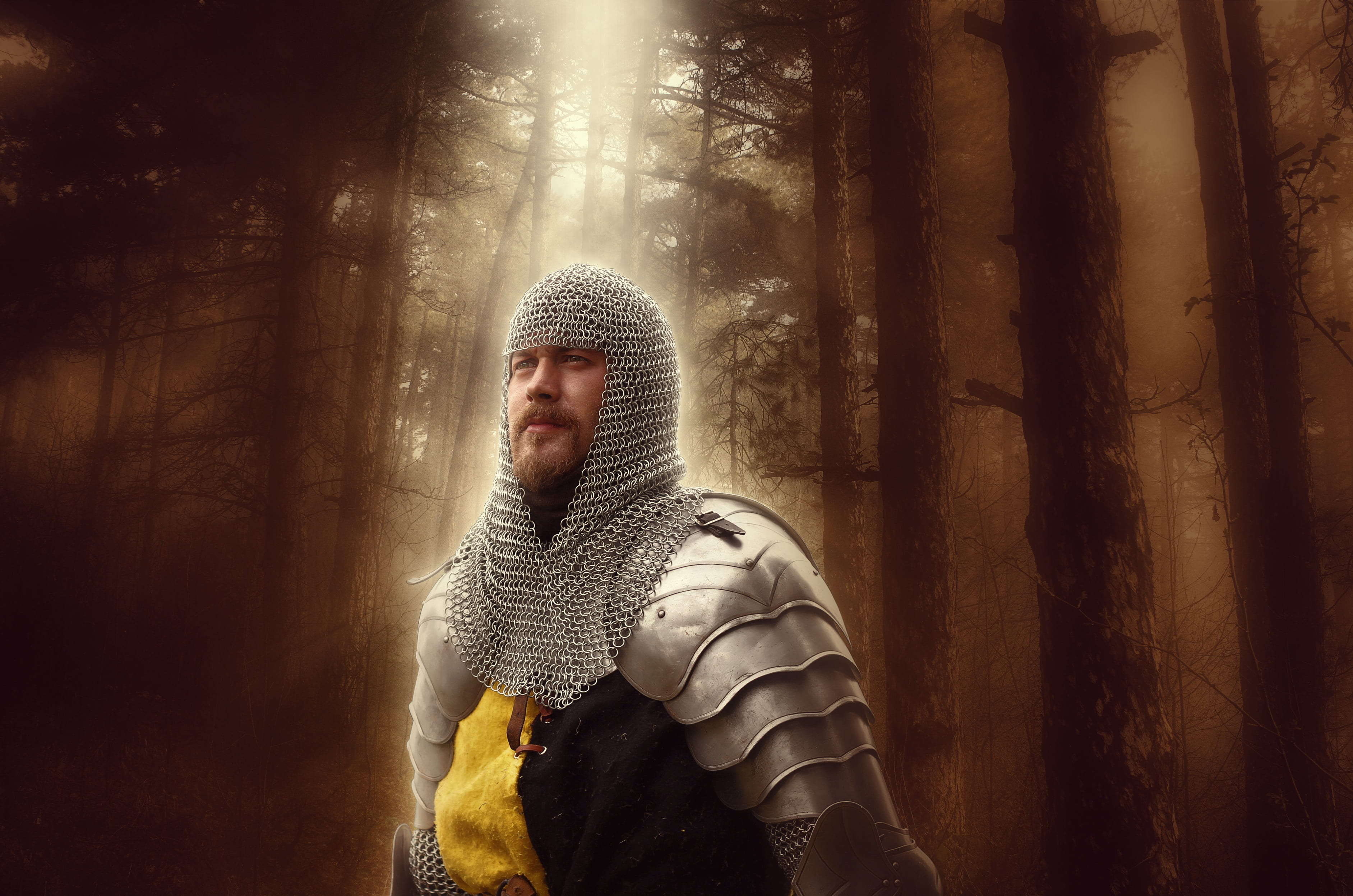 standing, warm clothing, tree, sunlight, real people, forest, young men, digital composite, nature, winter, 2K, casual clothing, armored, one person, hero, HD Wallpaper