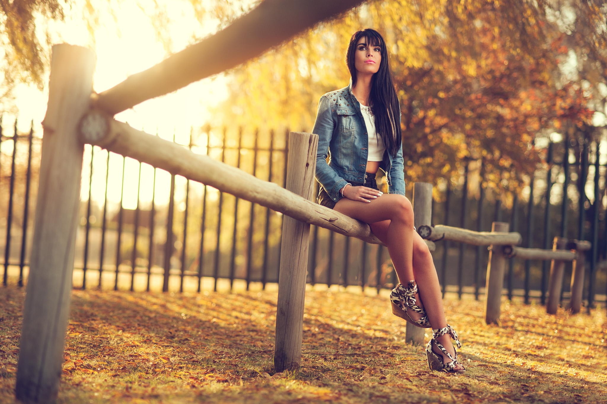 legs, long, long legs, fence, woman, sitting, 1080P, model, autumn, park, HD Wallpaper