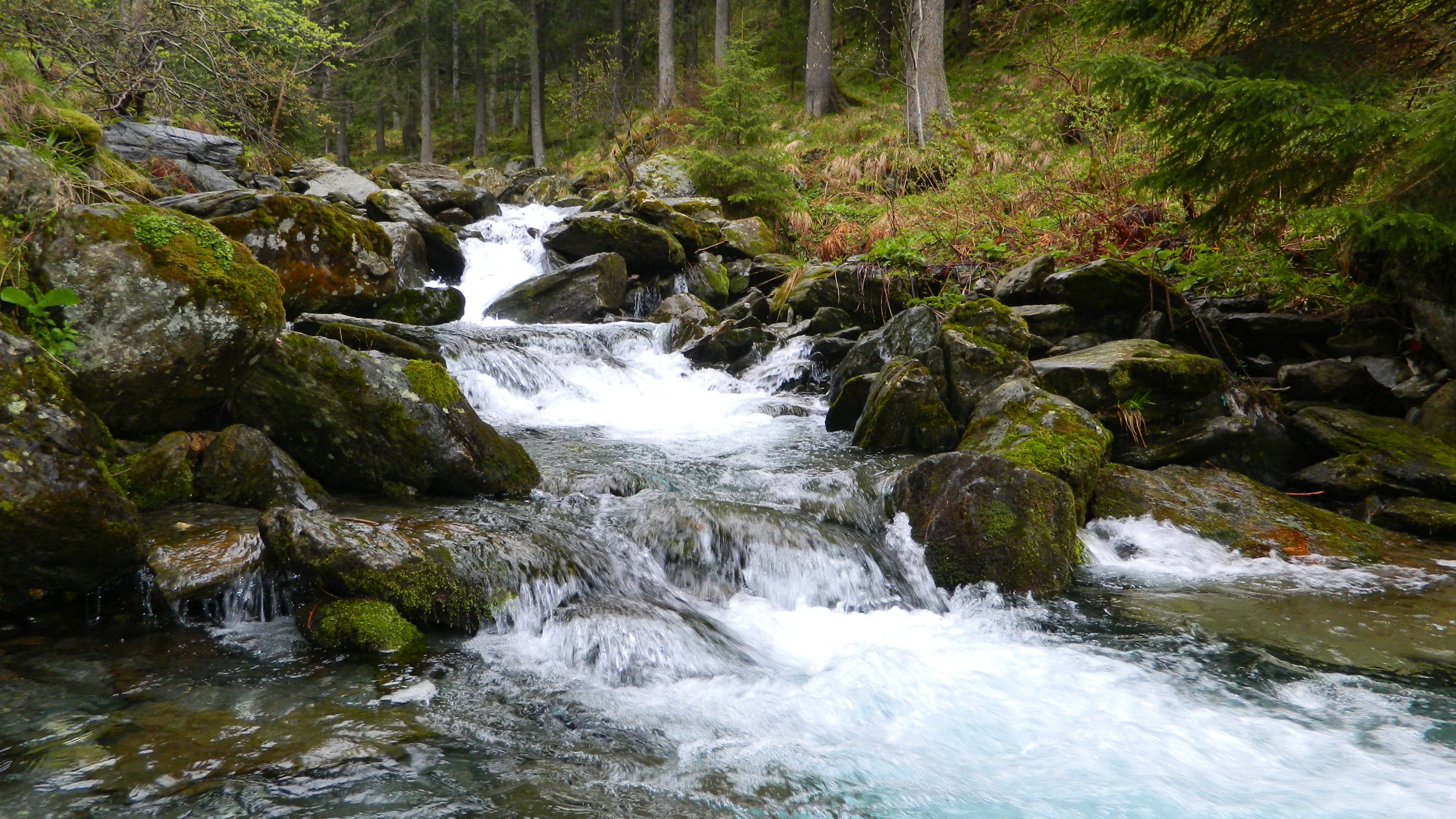 downloading, motion, journey, stones, long exposure, river, green, flowing, mountain, beauty, the transfagarasan, Mountain River, tree, power in nature, HD Wallpaper