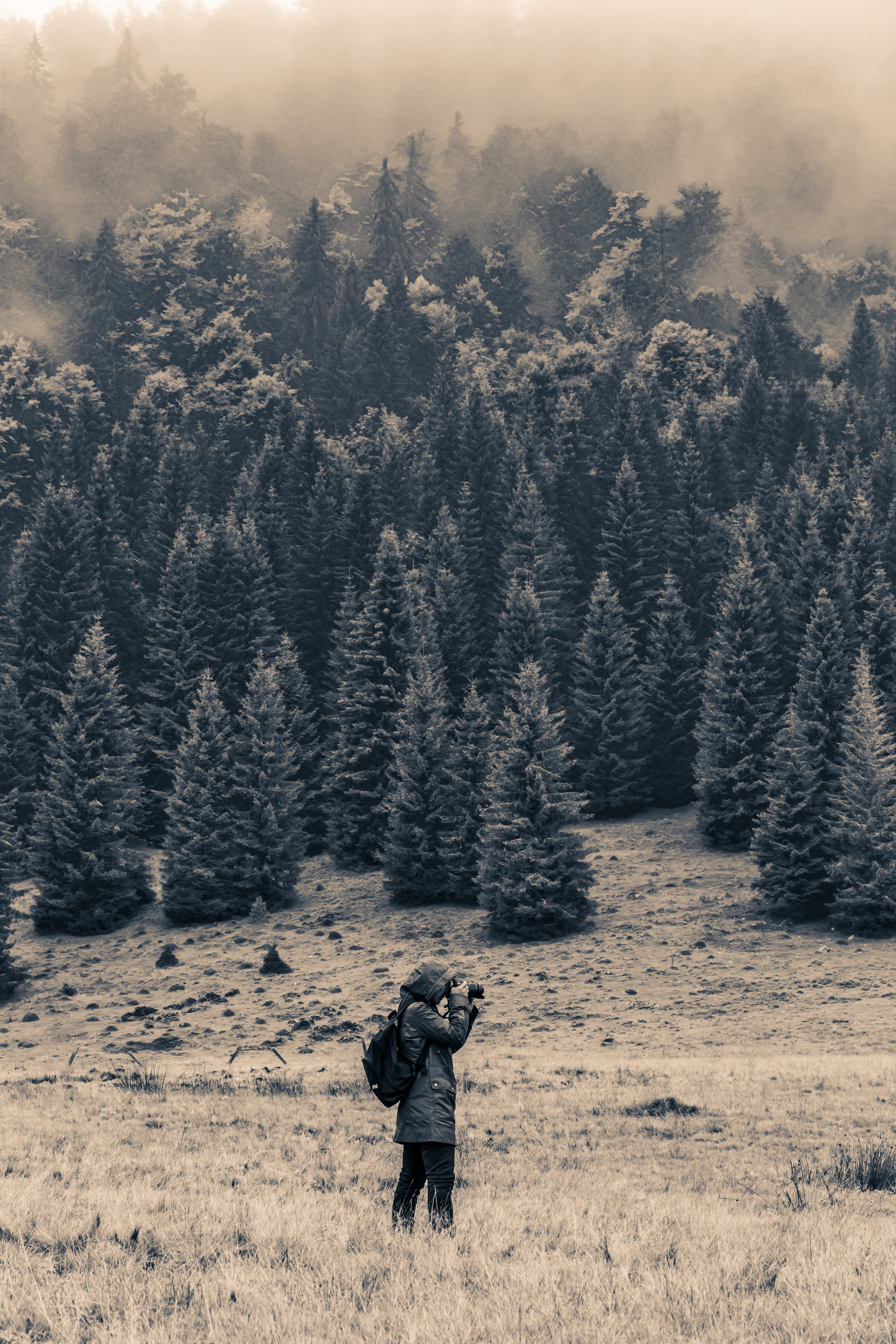 men, forest, pine forest, fog, photography, snow, full length, field, land, people, nature, mood, day, mountains, tree, pine woodland, one person, trees, Phone HD Wallpaper
