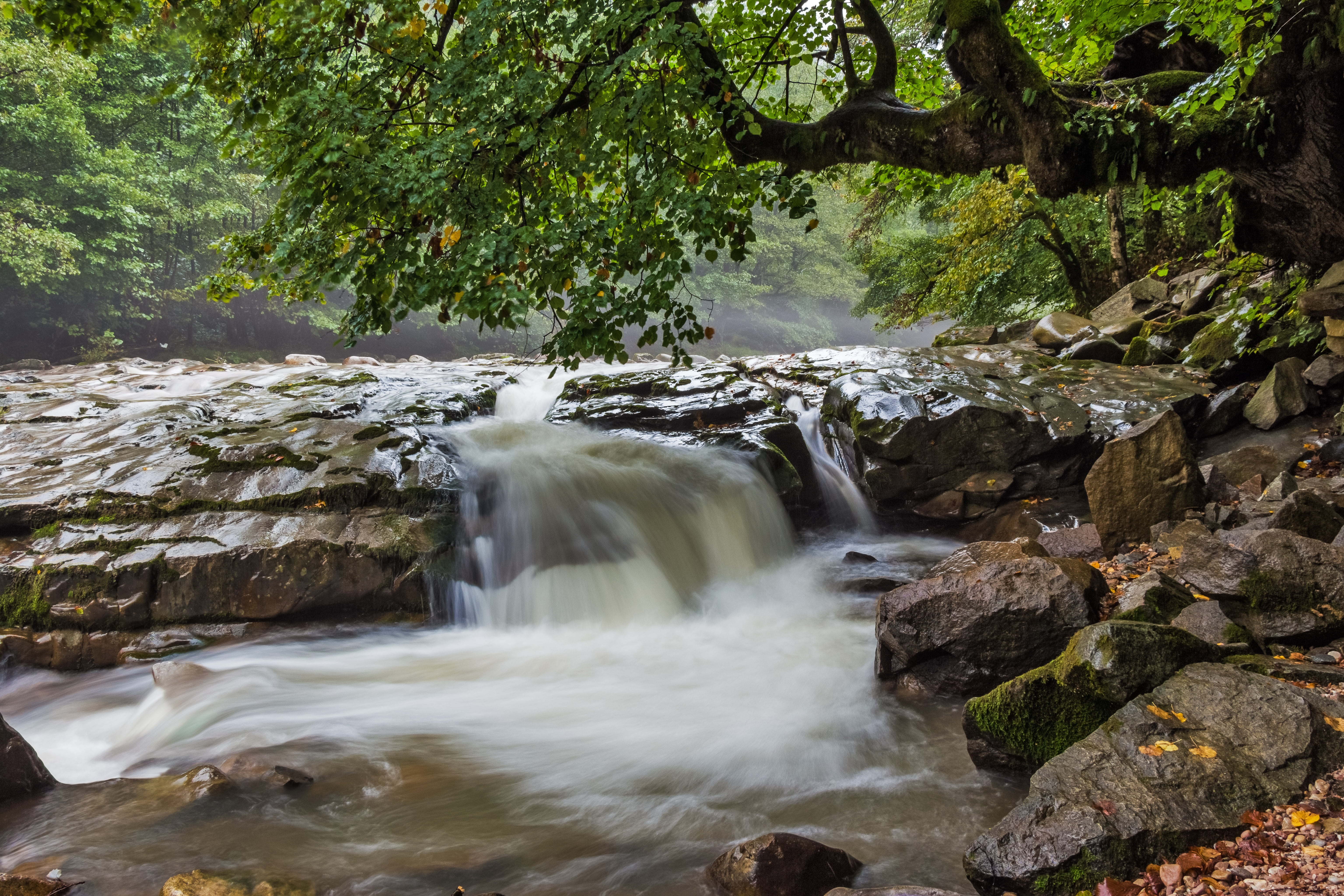 stream, plant, flowing water, rock, rocks, time, stones, falling water, non-urban scene, outdoors, tree, rock - Object, landscape, no people, scenics - nature, HD Wallpaper