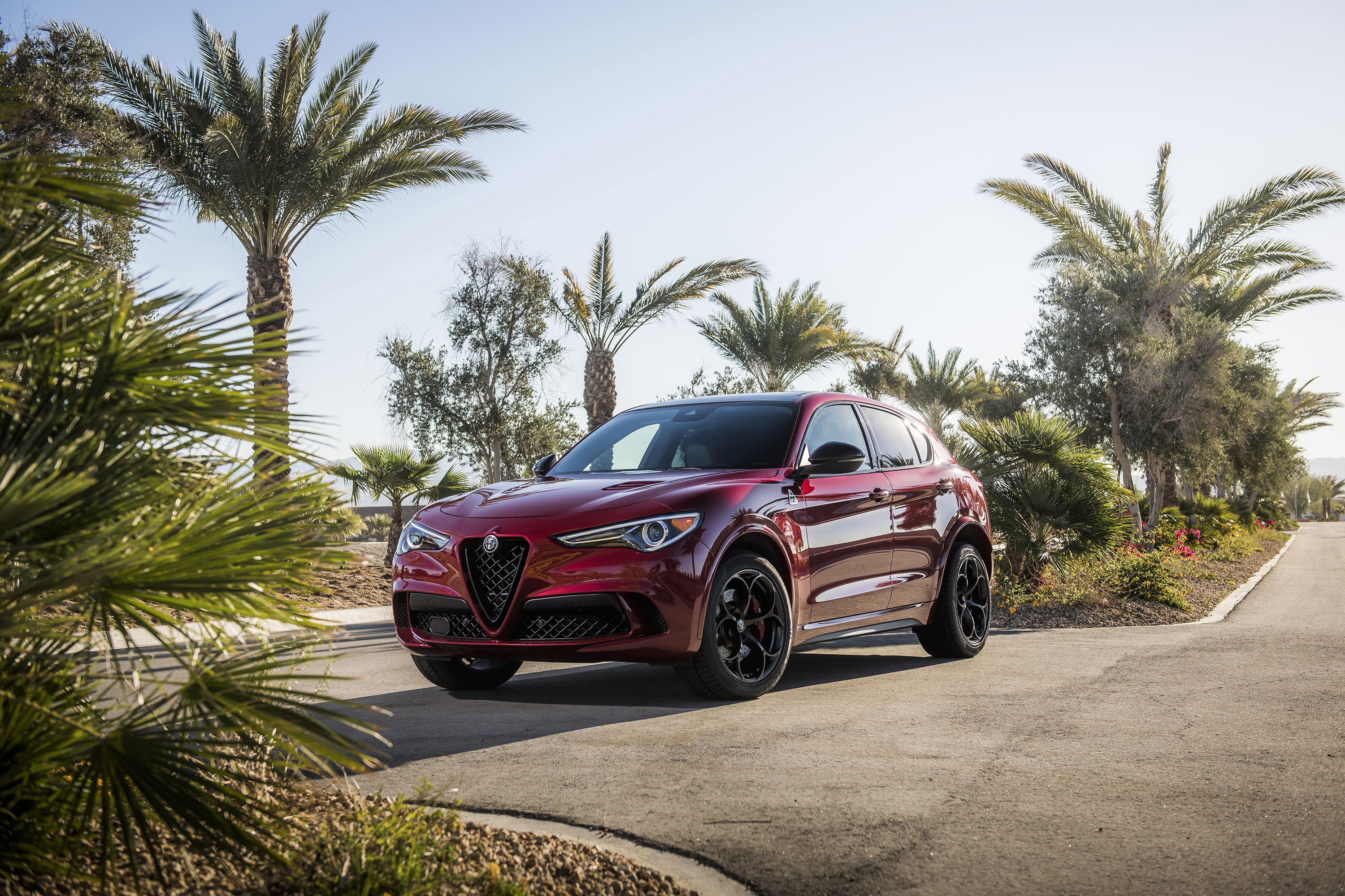 Black Edition, Four-leaf clover, Alfa Romeo, 2K, Stelvio, HD Wallpaper