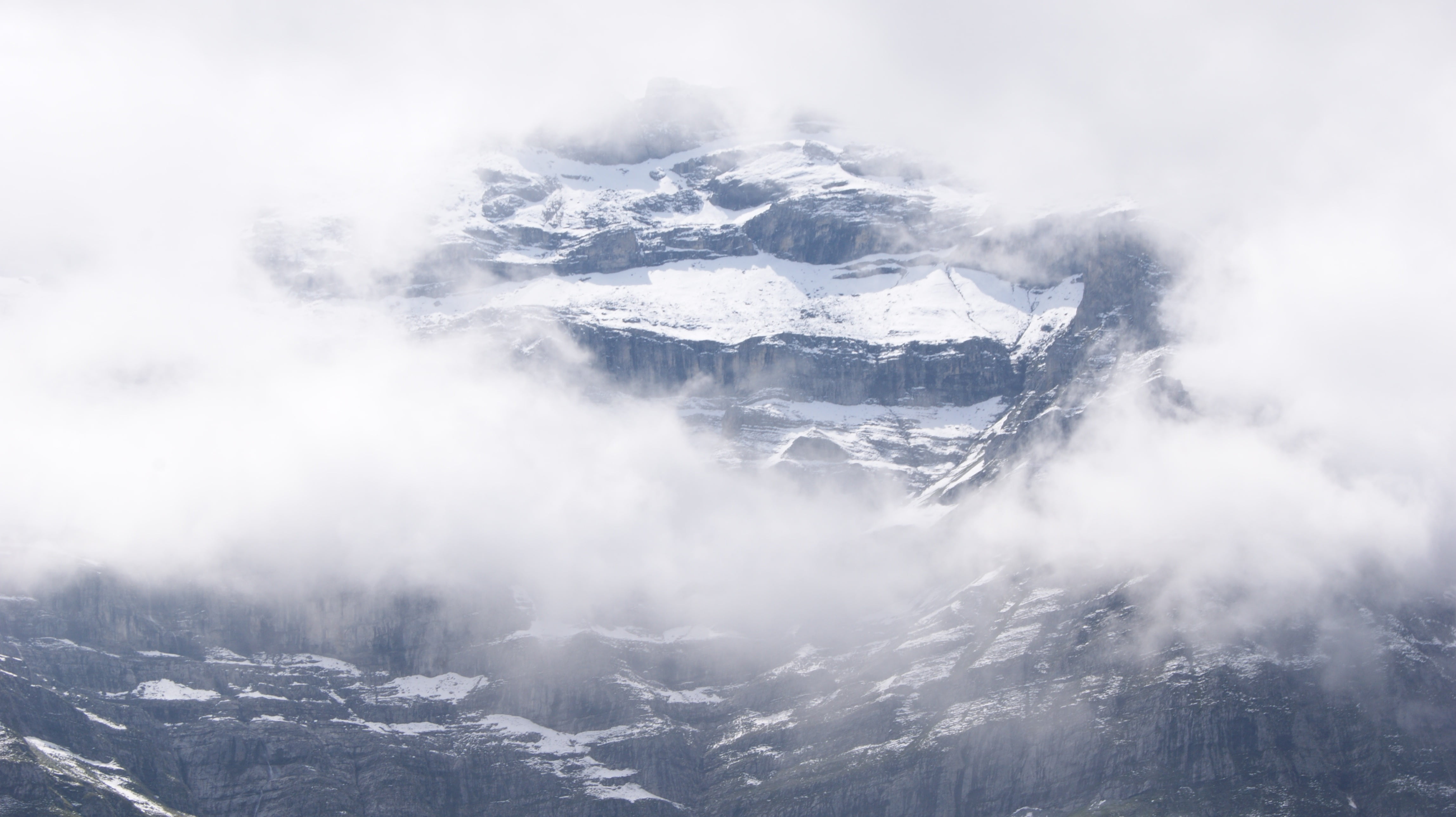 coniferous tree, cloud - sky, 4K, landscape, cold temperature, land, mountain peak, switzerland, environment, eiger, rock, no people, outdoors, fog, snow, HD Wallpaper