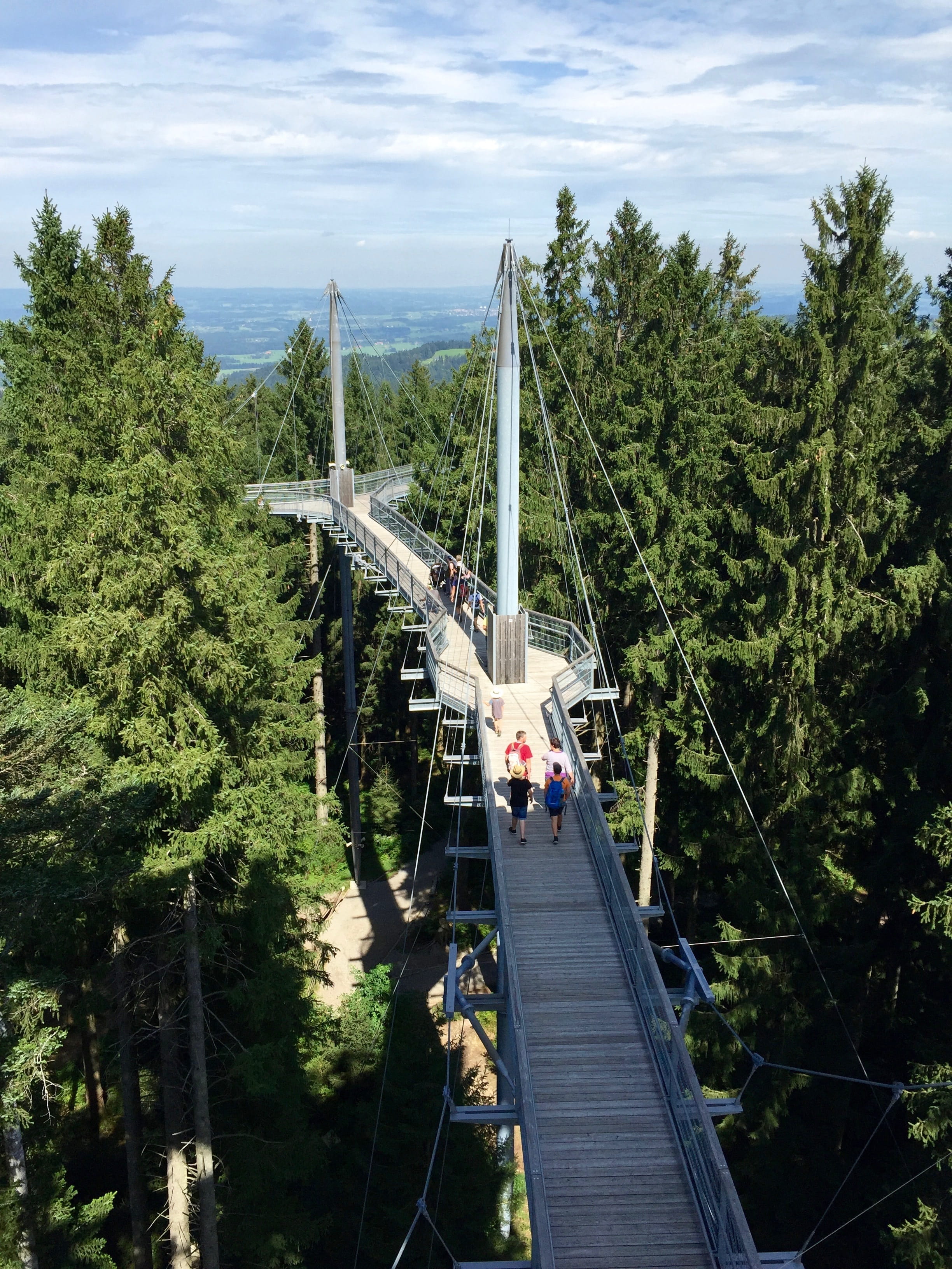 Allgäu, treetop path, Skywalk, water, bridge, footbridge, allg, alpine peaks, nature, sky, rail transportation, incidental people, growth, group of people, Phone HD Wallpaper