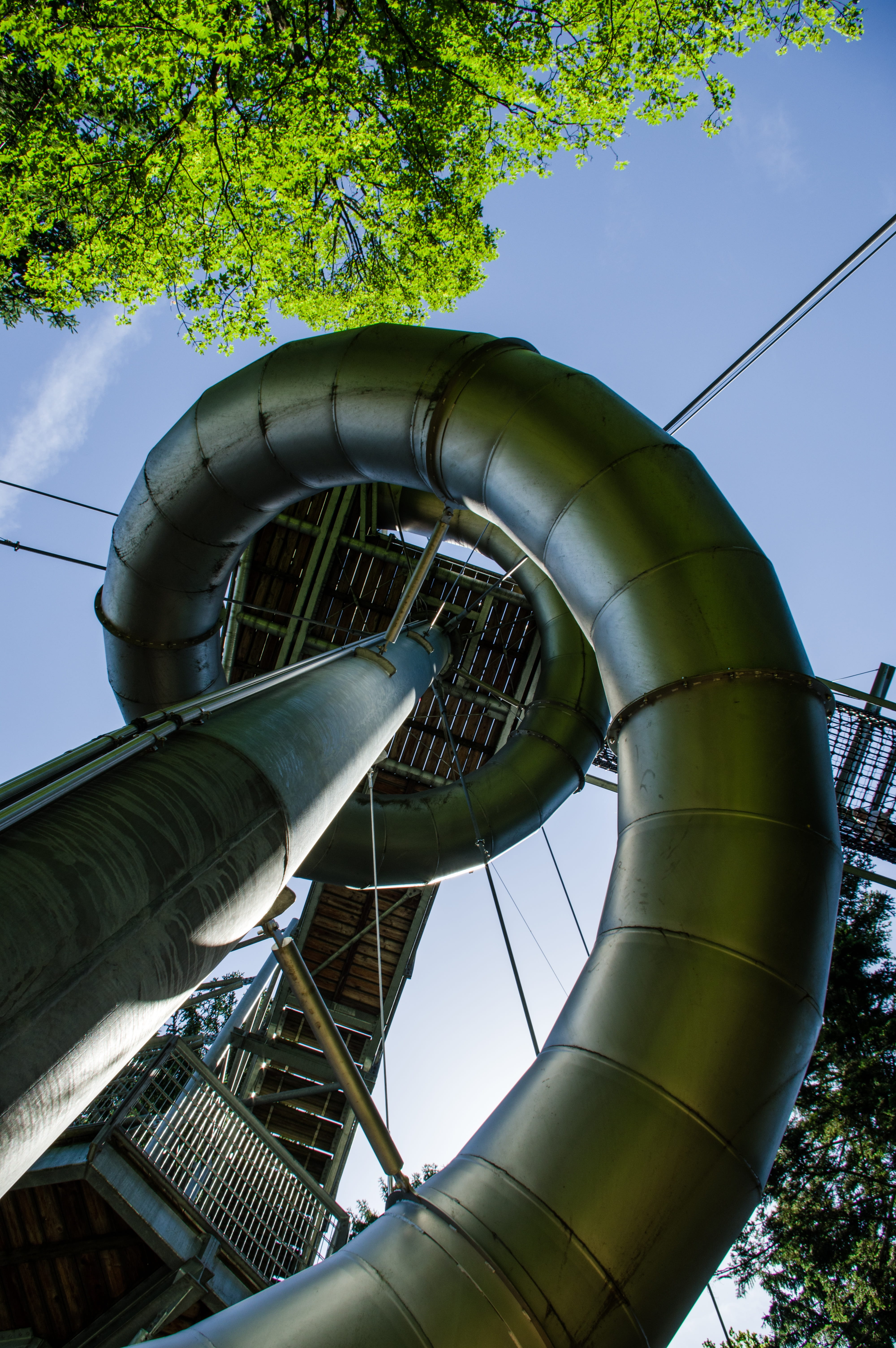 tree, plant, day, slide, 5K, low angle view, dynamic, arts culture and entertainment, water slide, leisure, metal, green color, skywalk, nature, architecture, Phone HD Wallpaper