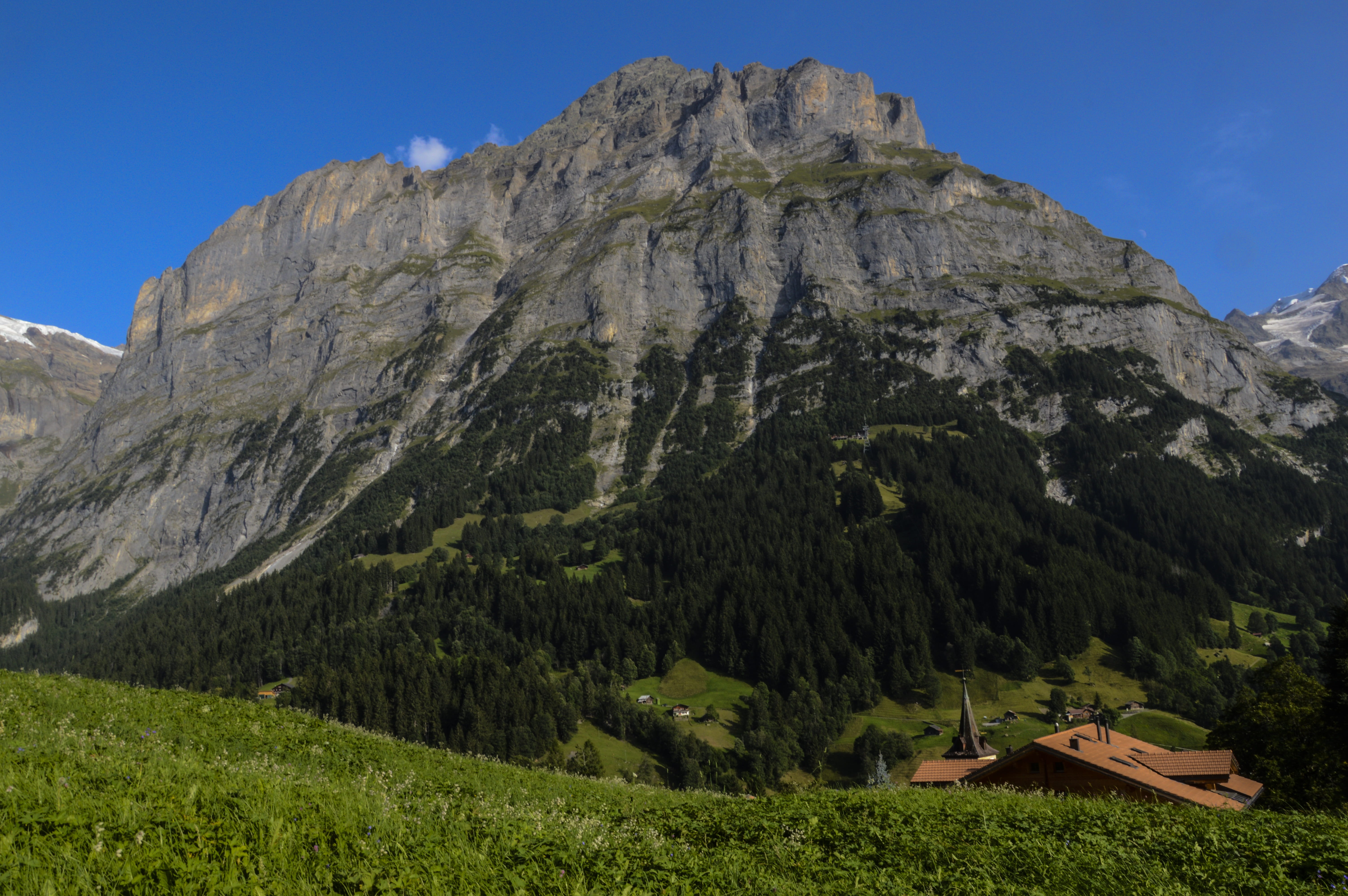 no people, alpine, non-urban scene, adventure, switzerland, kleine scheidegg, north wall, pine tree, hiking, panorama, mountain range, berner, bernese oberland, HD Wallpaper