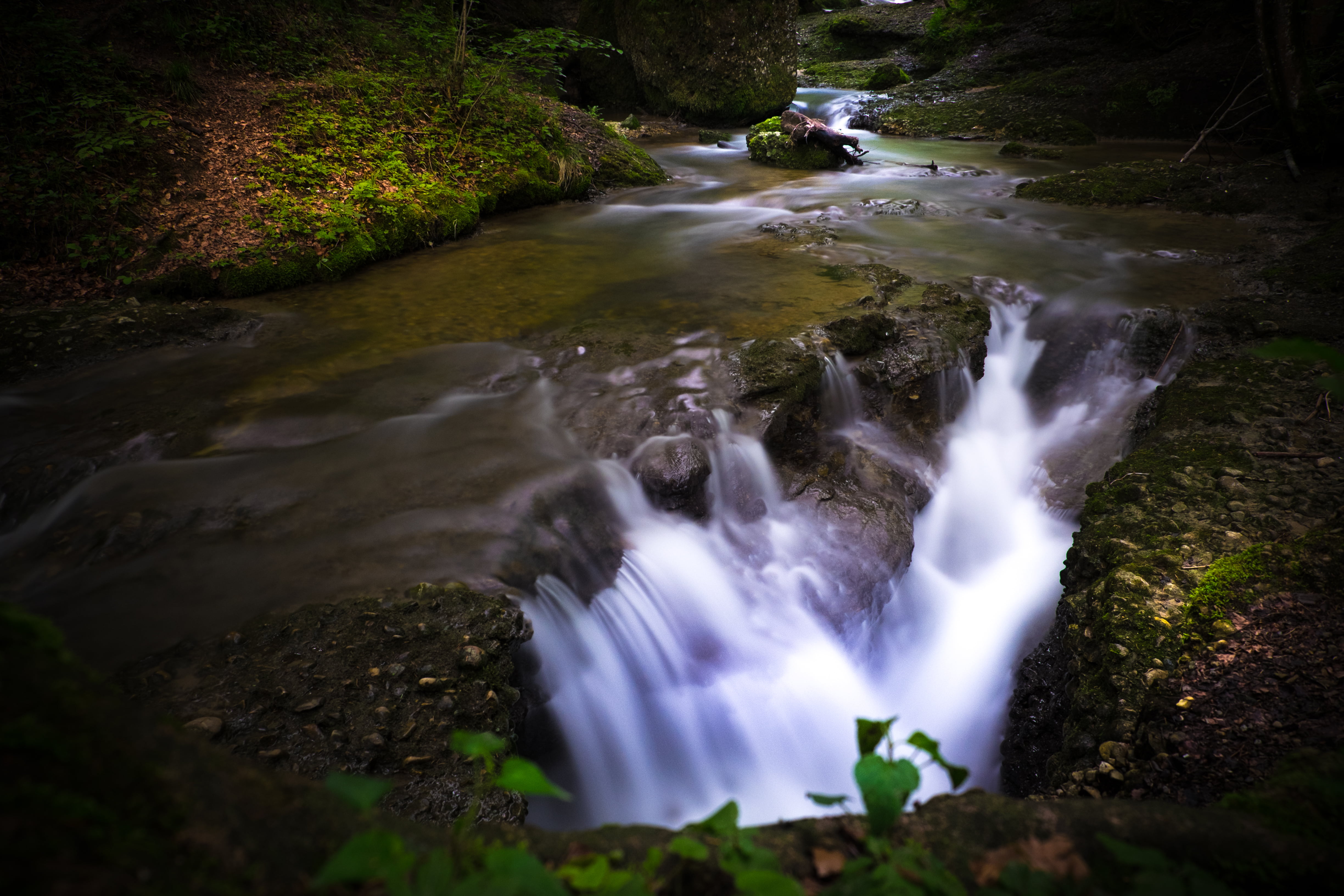 forest, exposure, Wasserfall, waterfalls, Allgäu, X-t1, outdoors, in the forest, nature, Fuji, Waterfall, filter, landscape, river, scenics, water, grey, HD Wallpaper