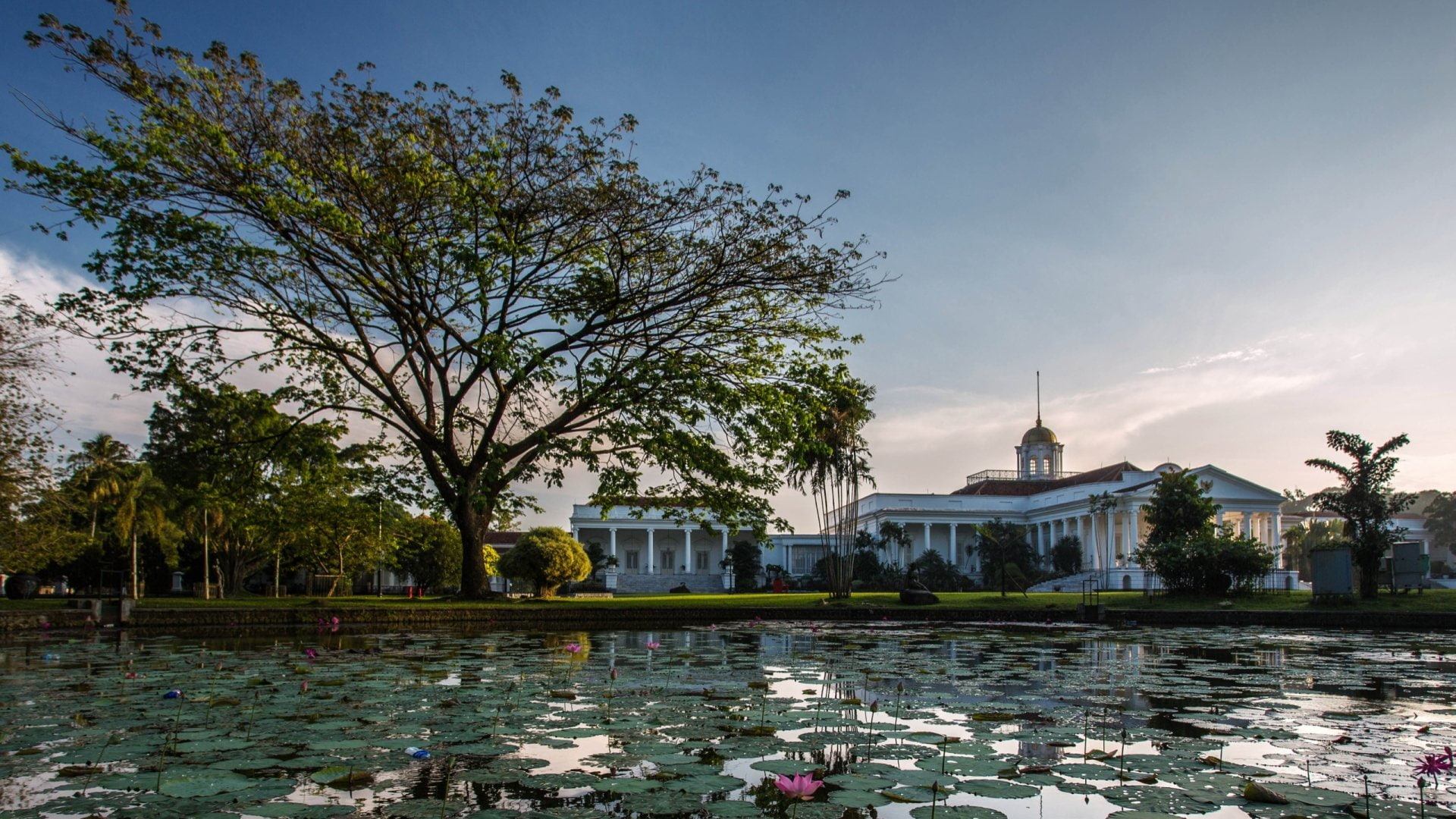 Palaces, 1080P, Bogor Palace, HD Wallpaper