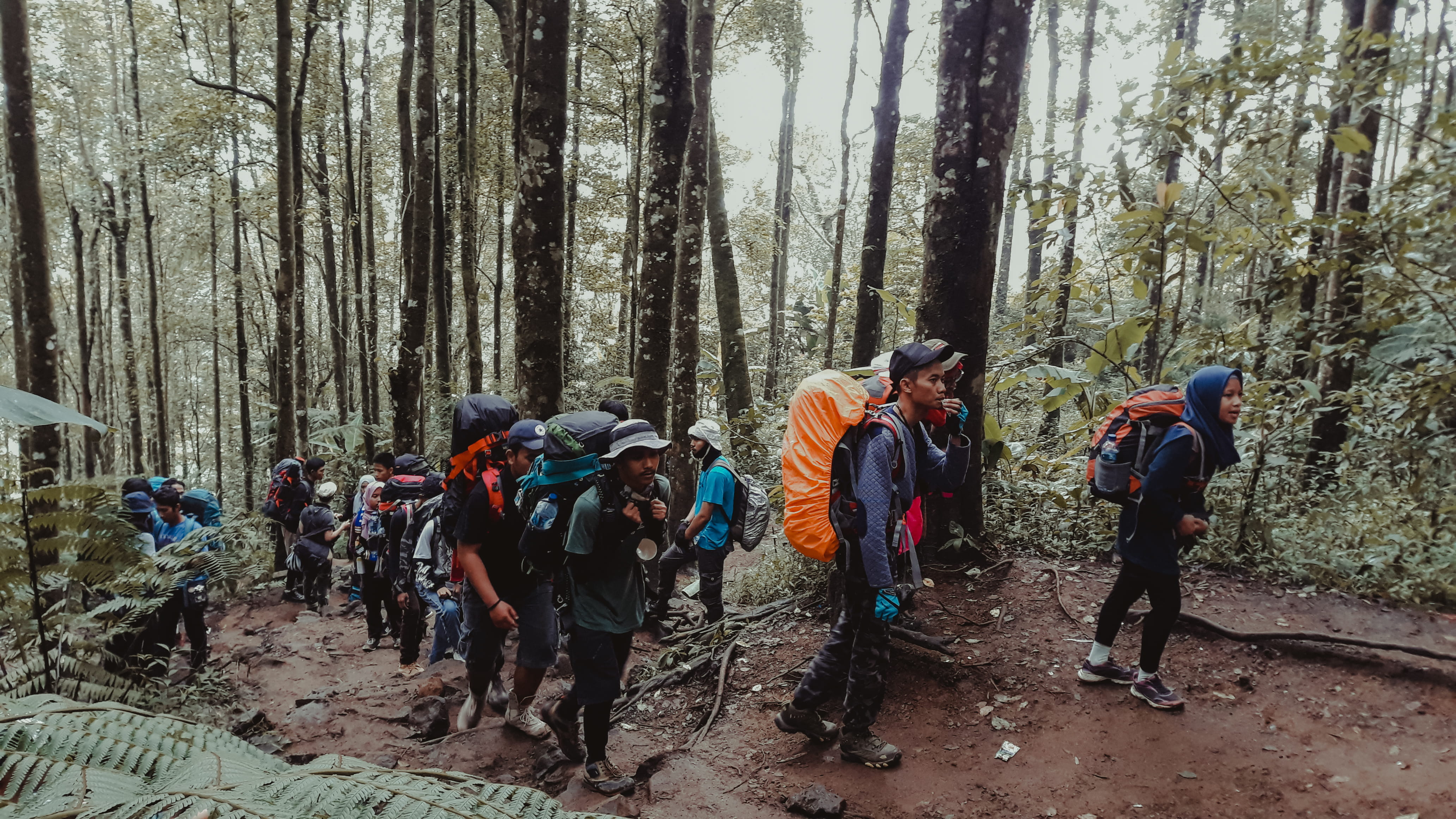 men, #nature #naturelovers #, shoe, leisure activity, apparel, ground, backpack, hiking, land, adult, #pendaki #, lifestyles, day, 4K, full length, plant, HD Wallpaper