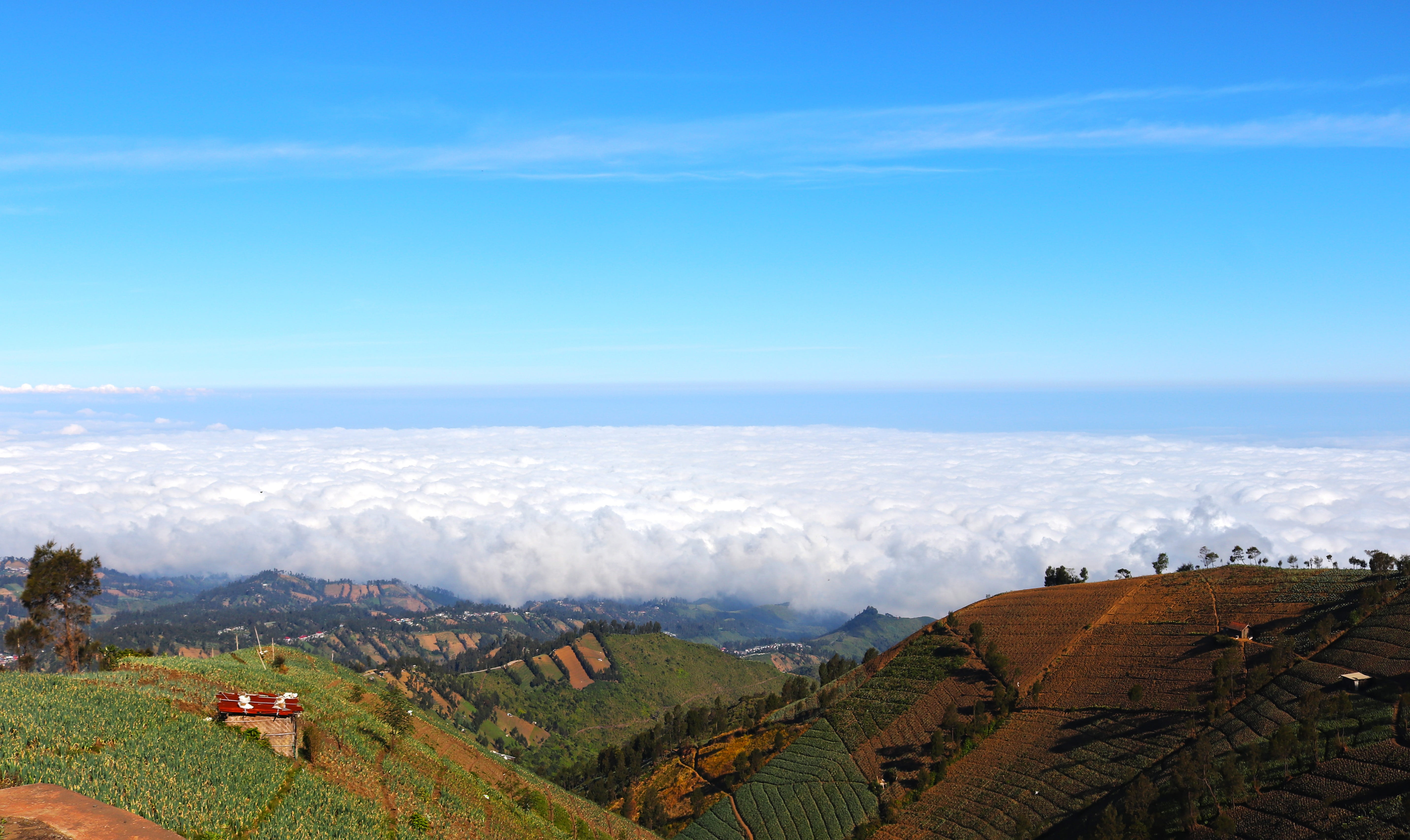 land, plant, cloud - sky, scenics - nature, mountains, hills, cloud, tranquil scene, high angle view, nature, sky, tree, blue, 5K, no people, environment, HD Wallpaper