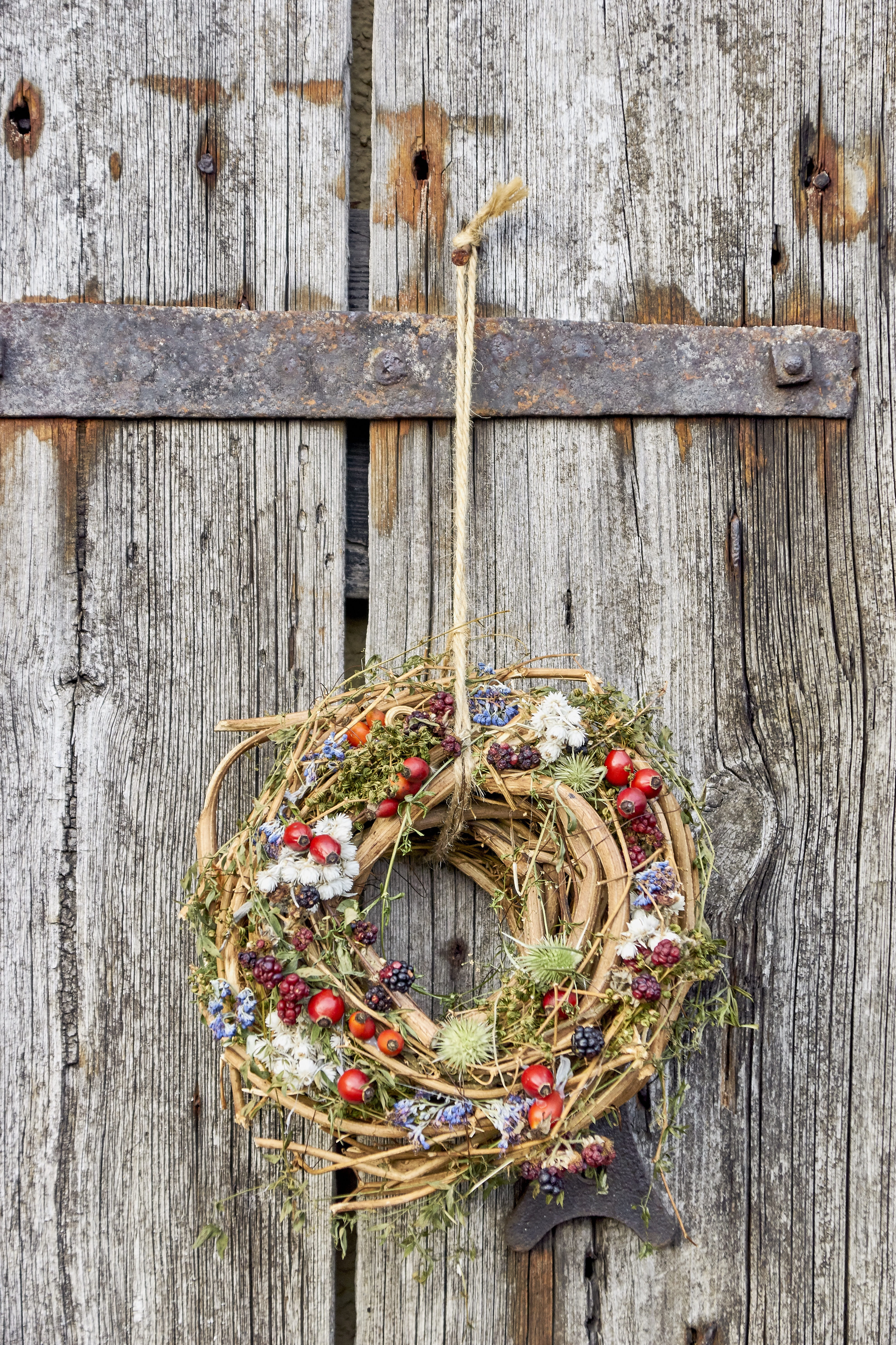 wreath, security, outdoors, golden autumn, plant, boundary, wood - material, protection, day, safety, morsch, circle, 5K, hanging, mood, dry bouquet, autumn, Phone HD Wallpaper