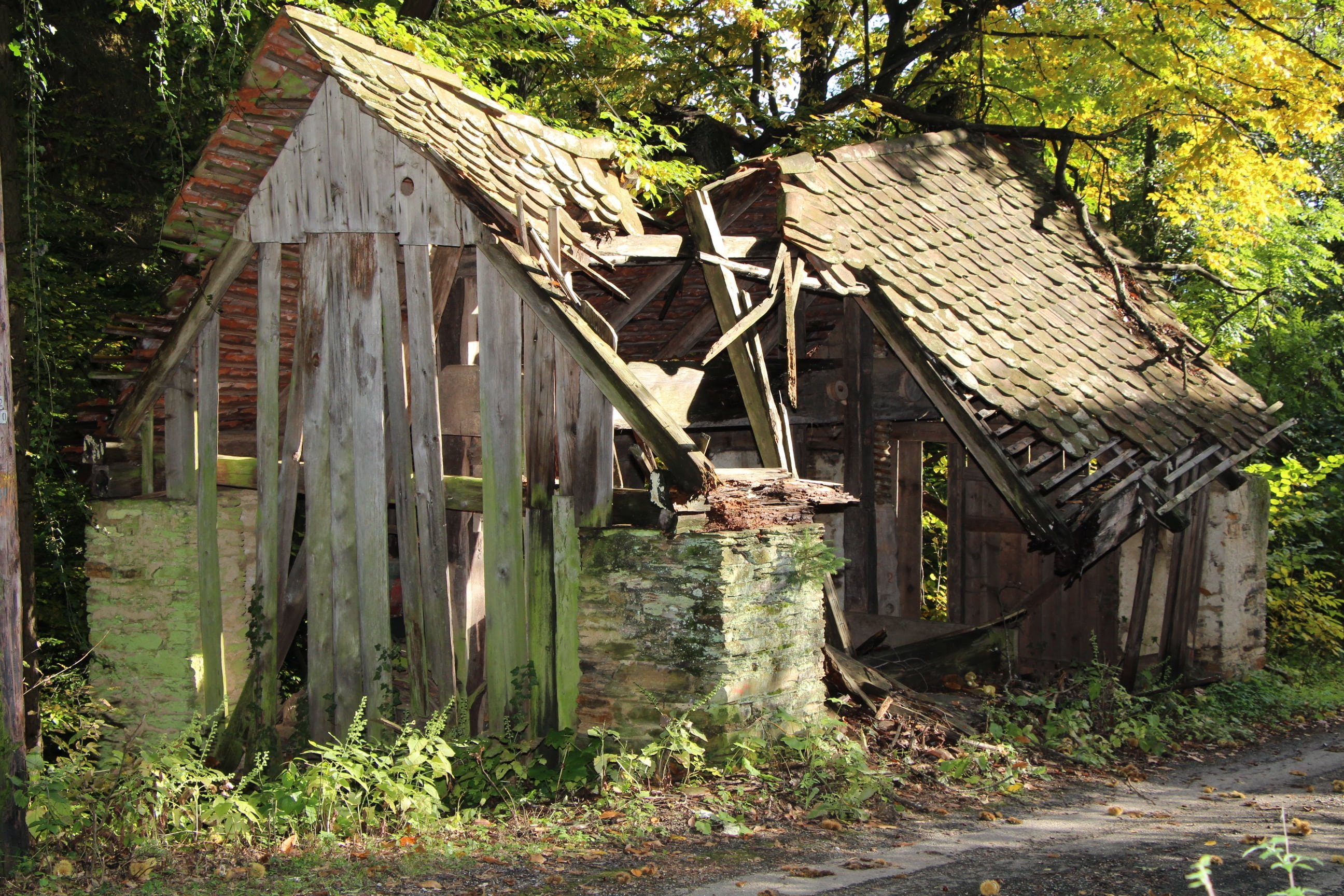 wood - material, obsolete, barn, deterioration, cabin, built structure, neglected, building, no people, morsch, run-down, forest, building exterior, run down, HD Wallpaper