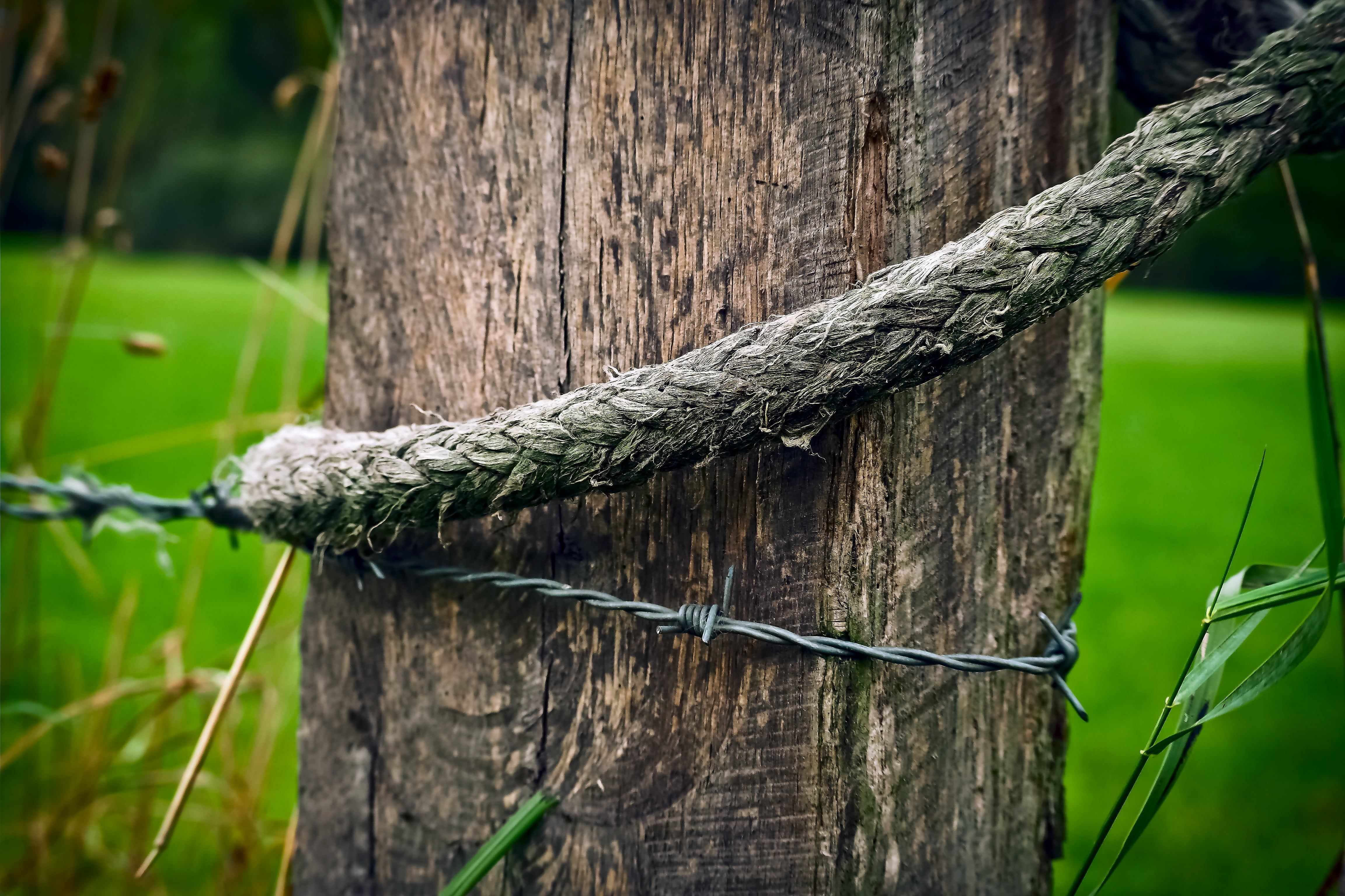 weathered, morsch, brown, no people, outdoors, tribe, bark, green color, metal, close, tree trunk, wood pile, grass, wooden posts, focus on foreground, HD Wallpaper