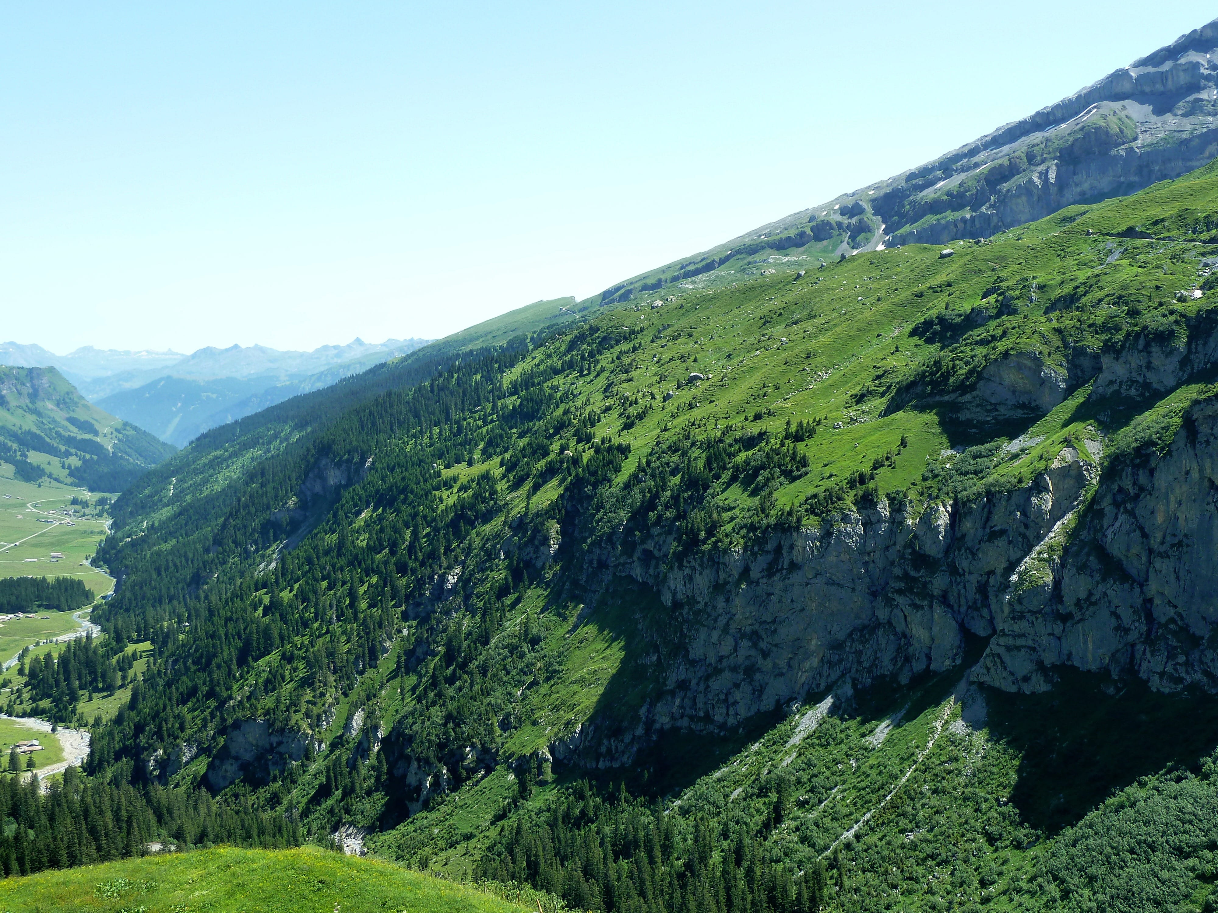 green color, klausen pass, land, nature, beauty in nature, remote, tranquility, mountain range, beautiful, tree, day, growth, plant, sky, non-urban scene, HD Wallpaper