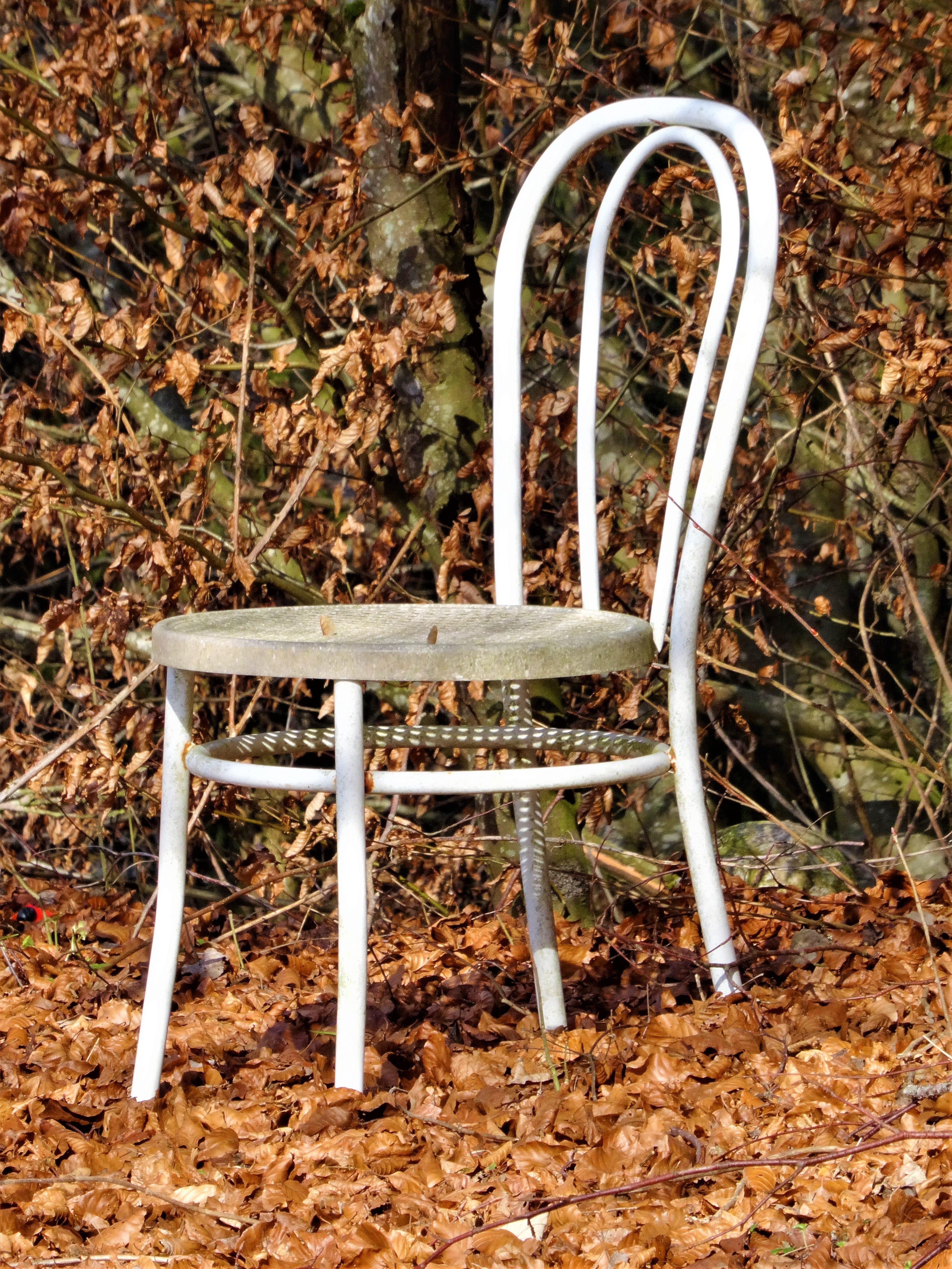 plant, leaf, nature, plant part, close-up, field, forest, high angle view, Seat, Chair, grass, empty, outdoors, Sit, no people, furniture pieces, absence, Phone HD Wallpaper