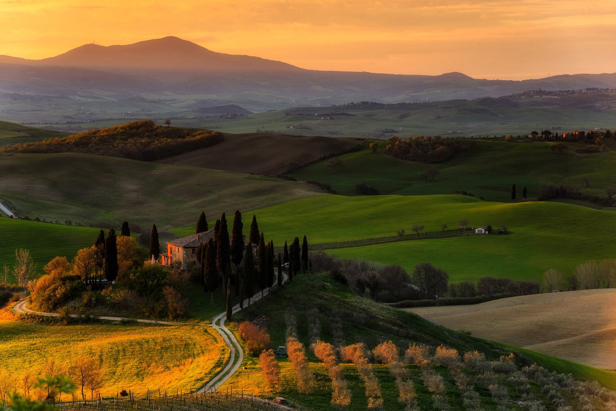 sky, land, mini houses, mountain, tree, scenics - nature, no people, field, road, belvedere tuscany, environment, tranquil scene, plant, idyllic, landscape, HD Wallpaper