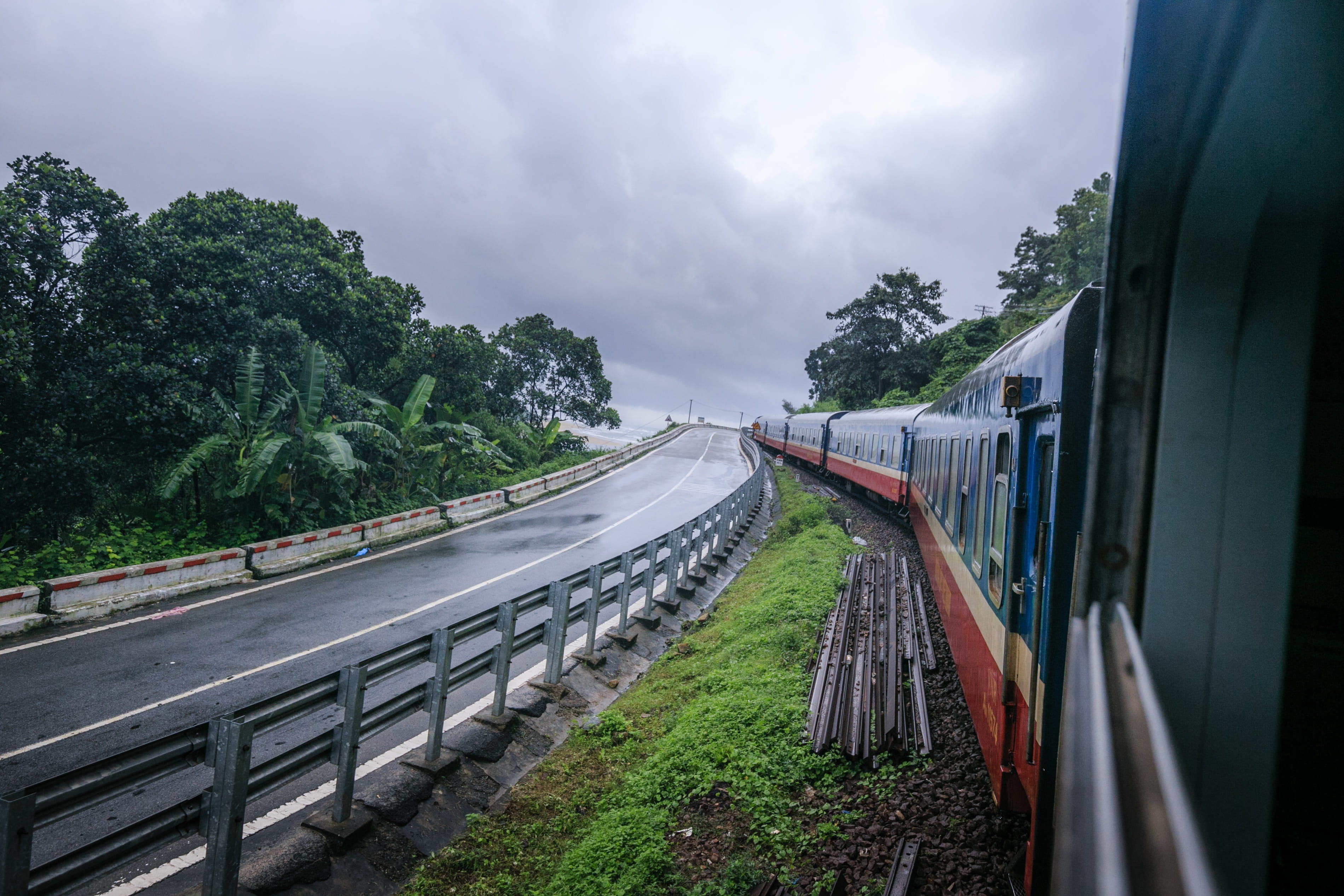 mode of transportation, tree, outdoors, passenger train, forest, land vehicle, growth, public transportation, rail, speed, move, plant, rail transportation, HD Wallpaper