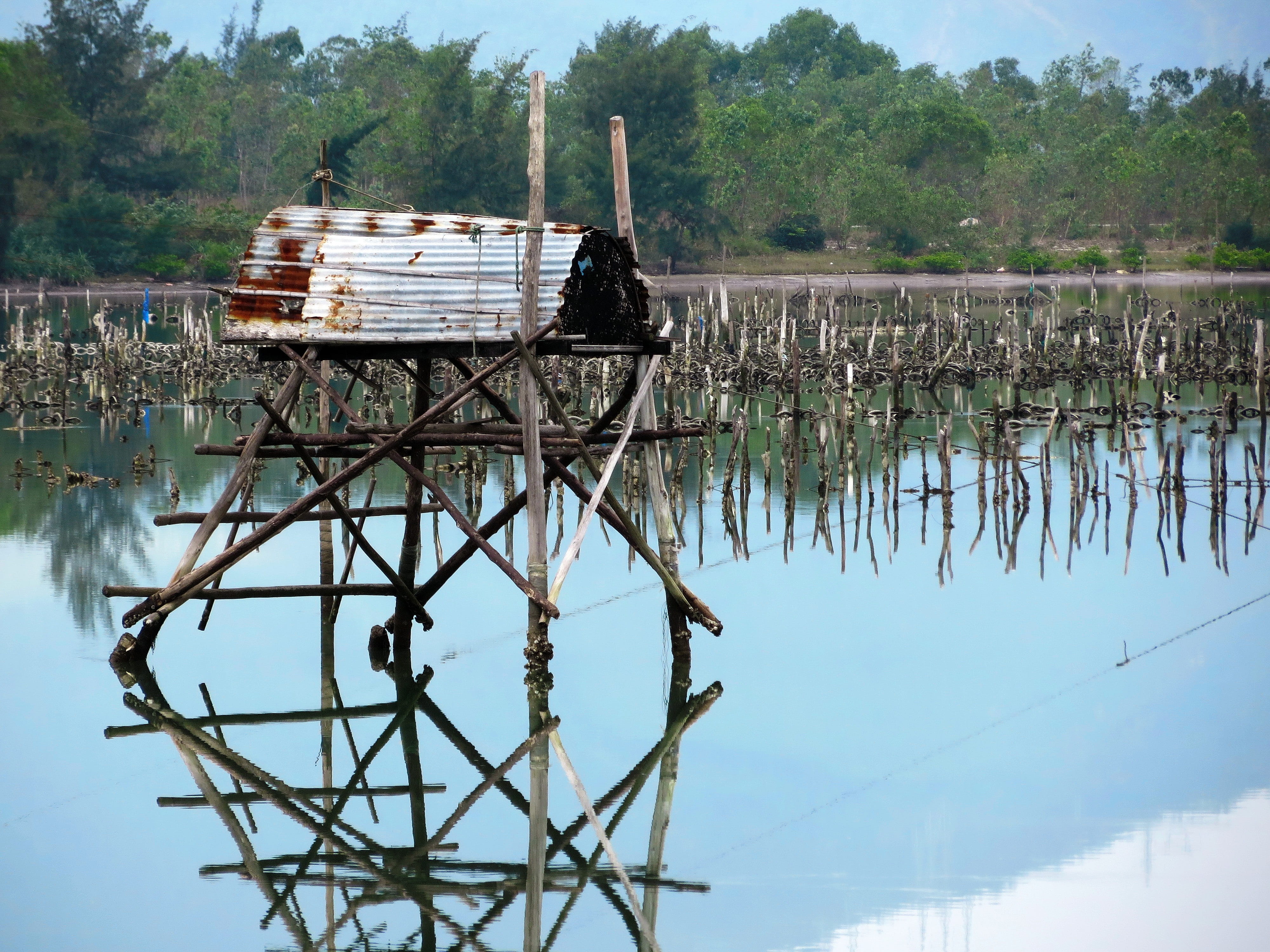 netting, Fishing, nautical vessel, Lake, plant, standing water, fishermens hut, no people, moored, reflection, Danang, 4K, architecture, nature, tranquility, HD Wallpaper