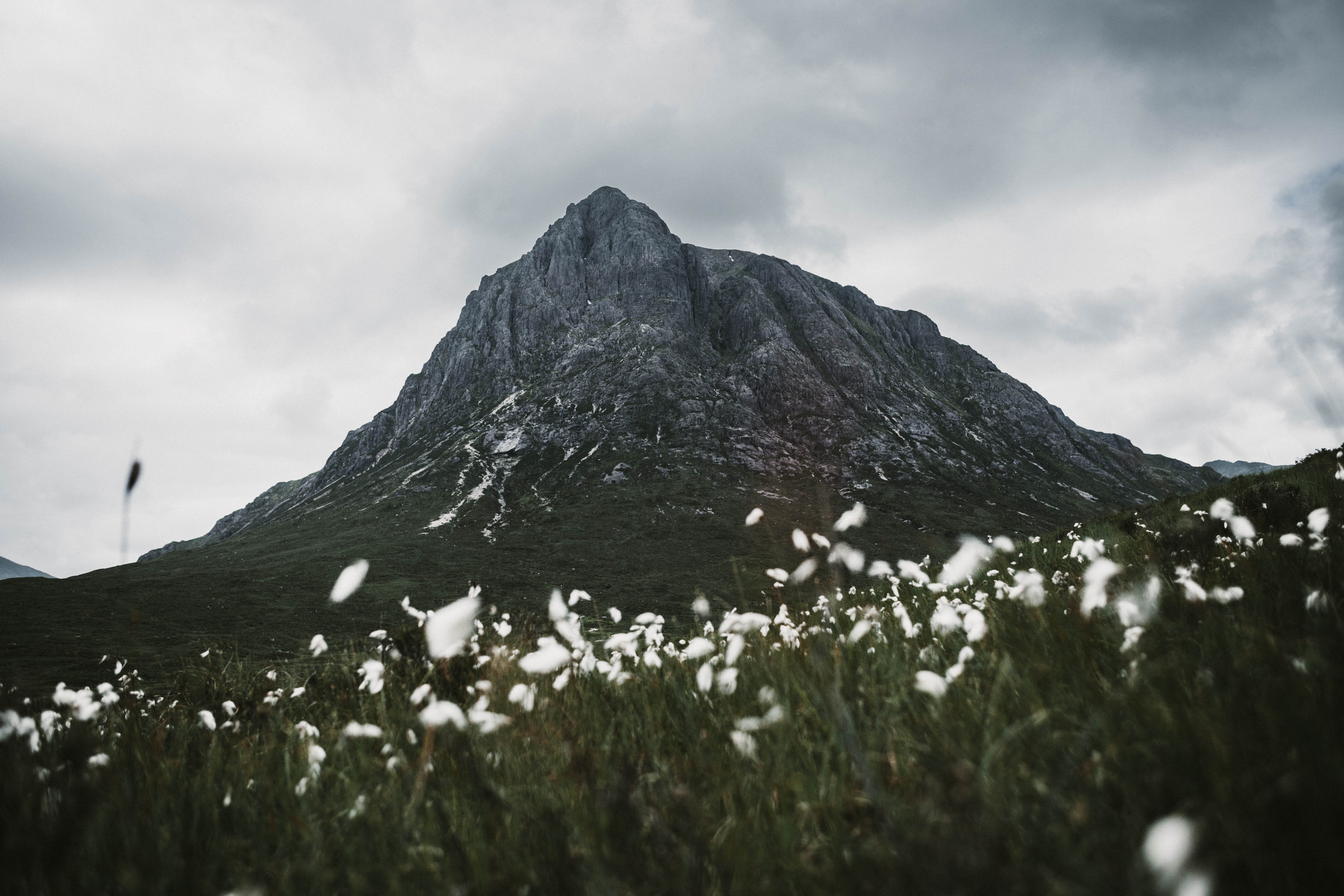 mounfain, gray, near, moody, daytime, formation, rock, day, flowers, outdoors, land, no people, sky, tranquility, glencoe, snow, beauty in nature, HD Wallpaper