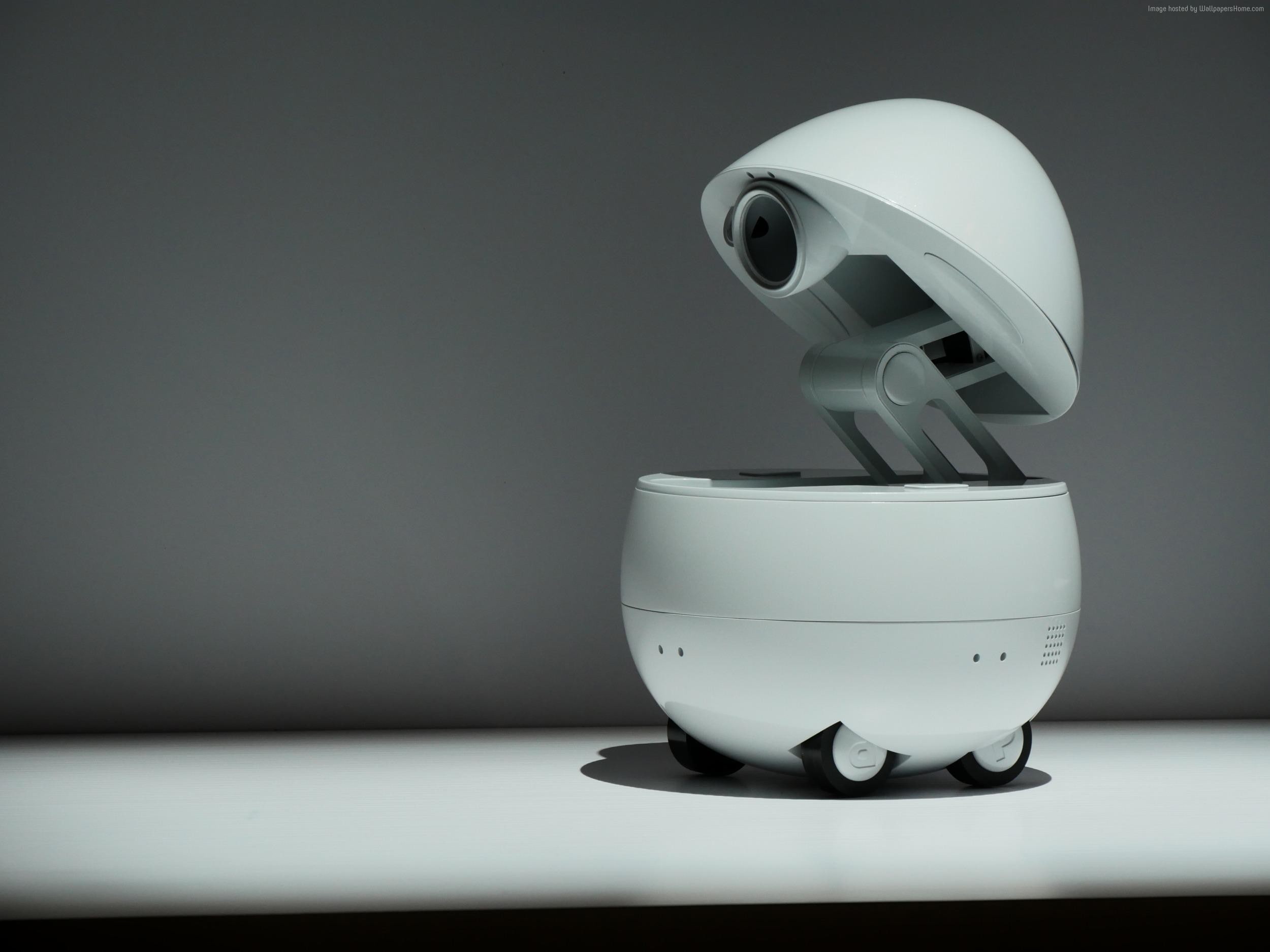 technology, CES 2017, still life, copy space, equipment, desk, home robot, table, single object, one animal, 1080P, close-up, gray background, indoors, HD Wallpaper