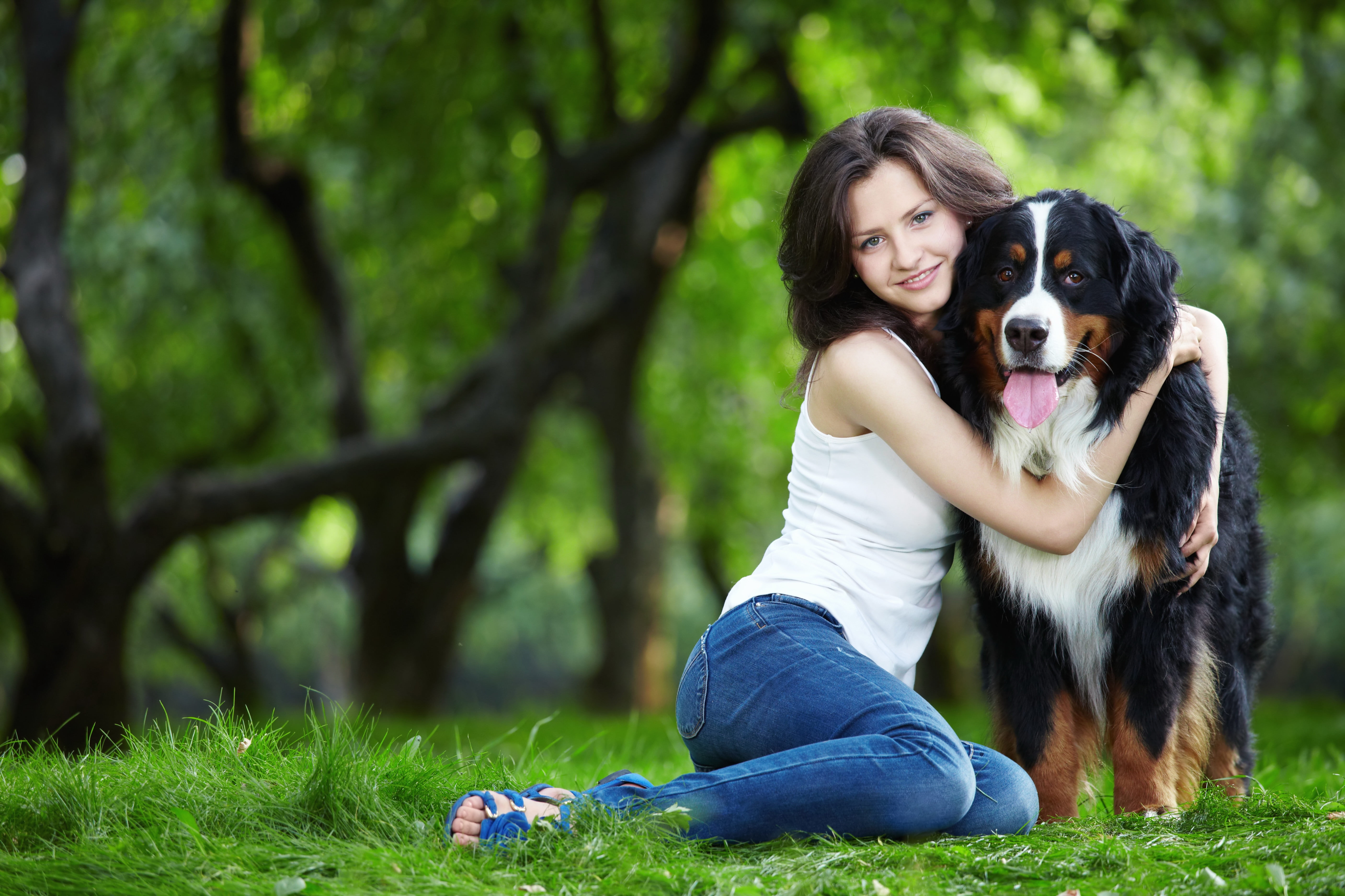joy, smiling, purebred Dog, playful, bernese Mountain Dog, plant, friendship, caucasian Ethnicity, holding, s, lifestyles, enjoyment, cute, vertebrate, HD Wallpaper