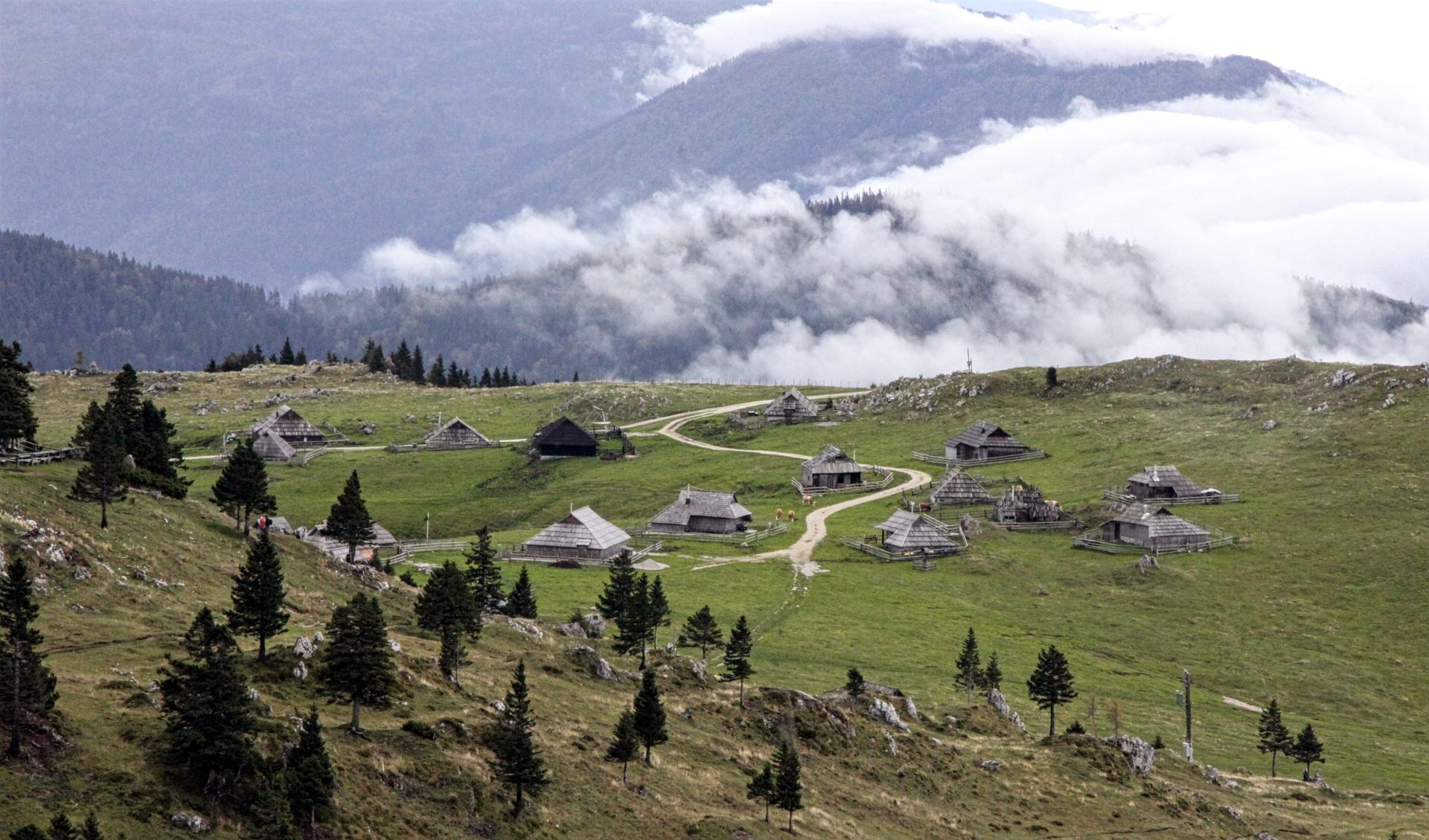 grass, tranquility, plant, fog, forest, mountain, environment, land, cloud - sky, village, mountains, day, hills, velika planina, shepherds village, nature, HD Wallpaper