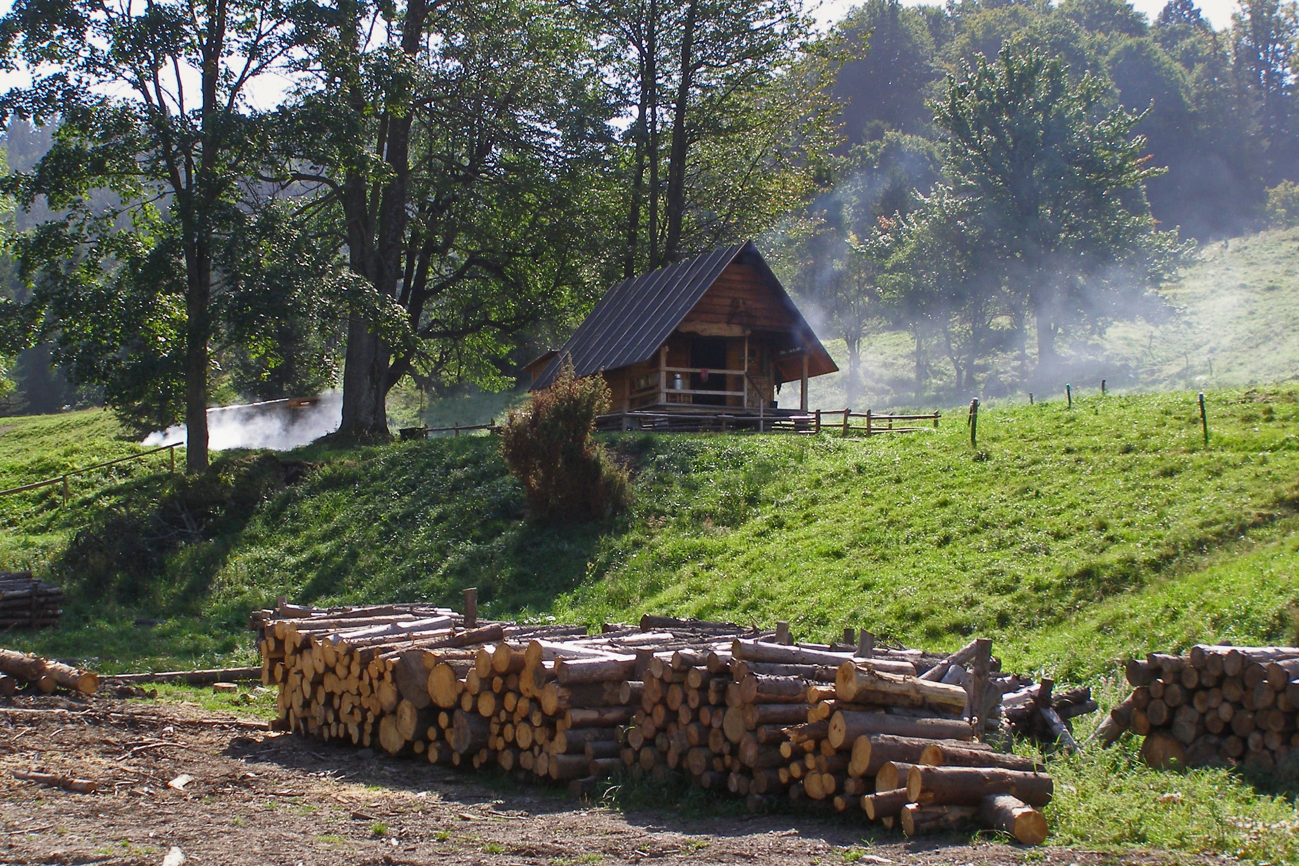 house, land, growth, forest, wood, szczawnica, built structure, log, summer, building, hut, wood - material, day, 2K, outdoors, poland, cottage, building exterior, HD Wallpaper