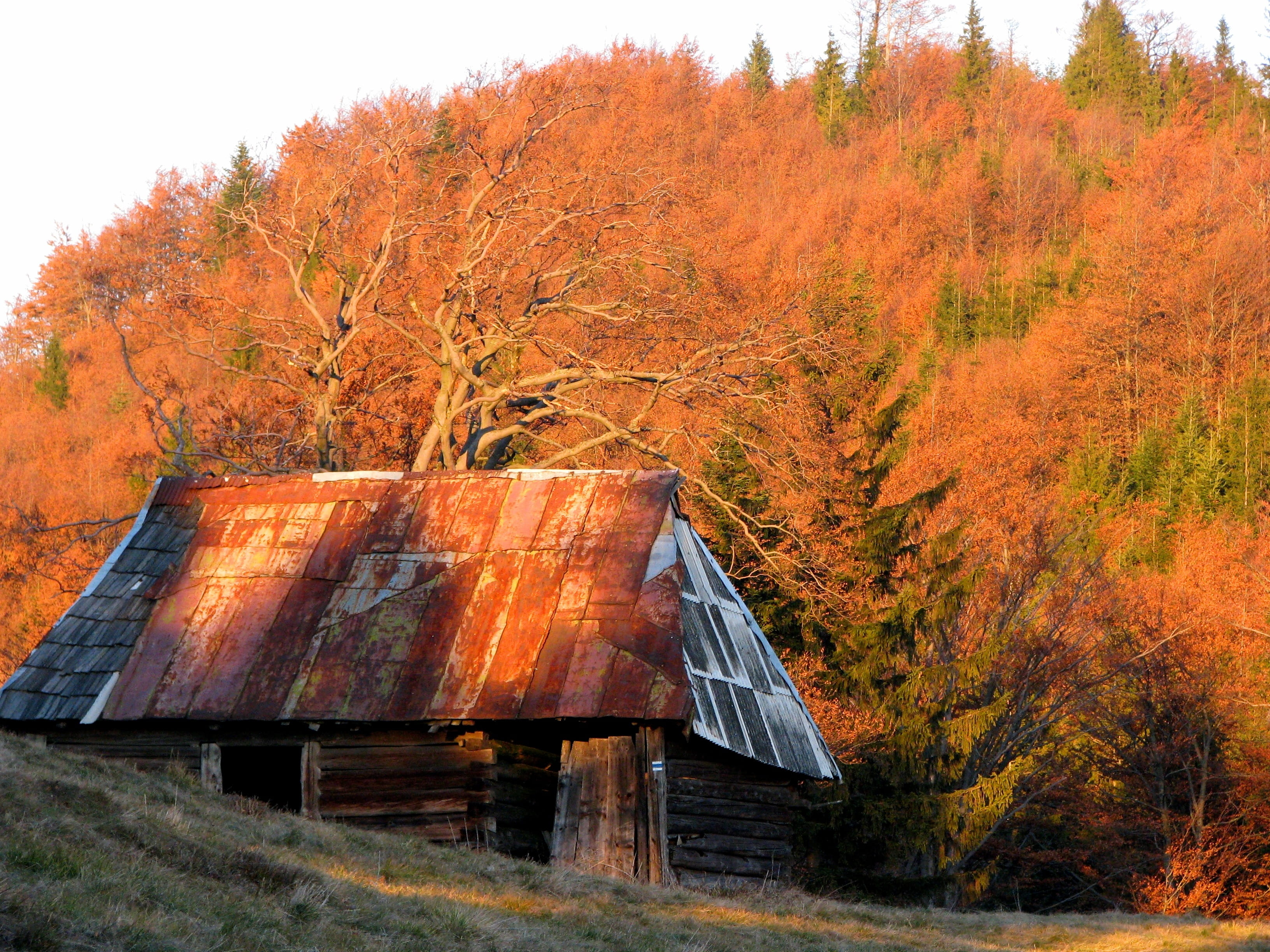 hiking trail, 2K, rust, autumn collection, poland, architecture, change, land, outdoors, beskids, growth, beauty in nature, shed, scenics - nature, plant, HD Wallpaper