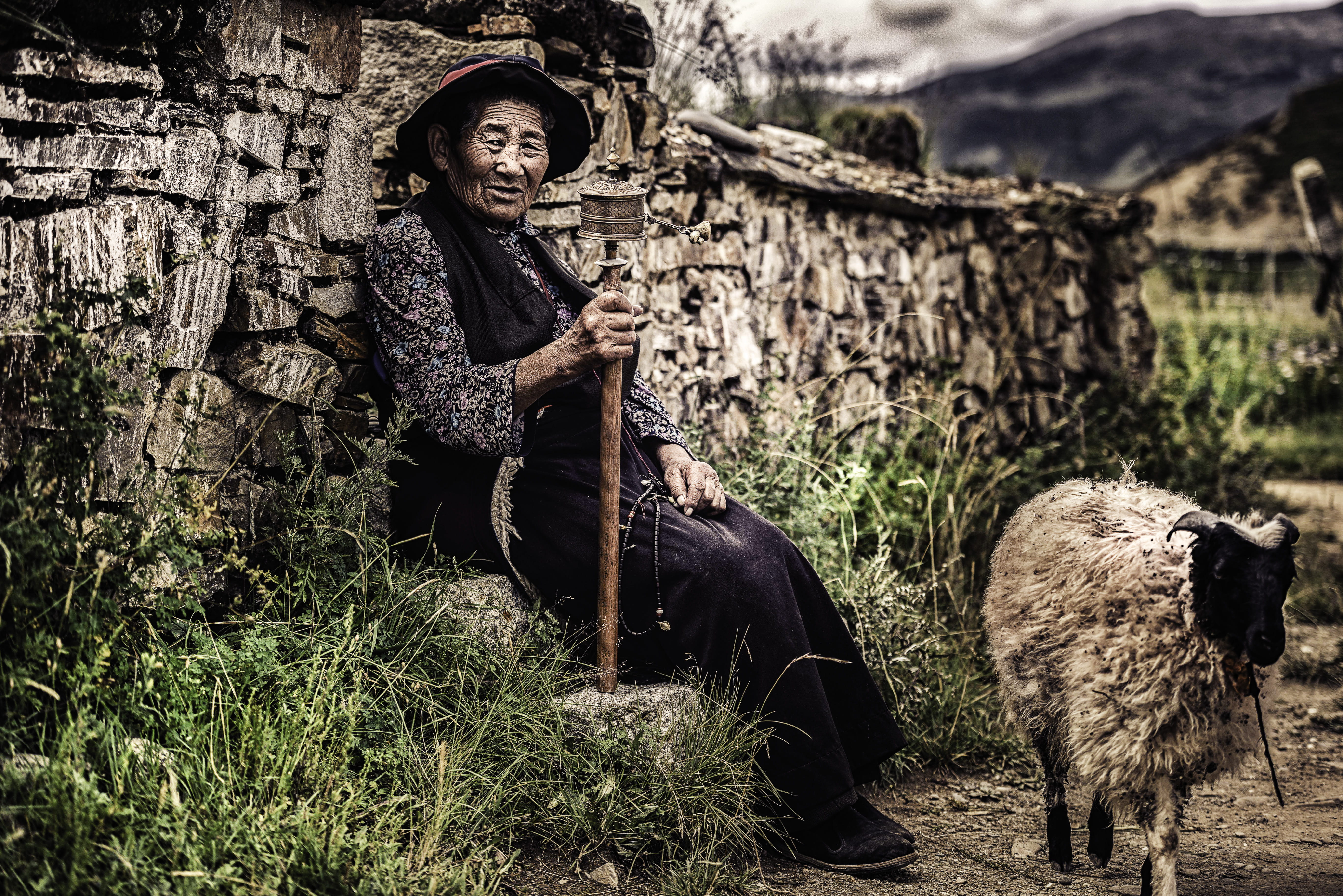 livestock, animal, pets, one person, portrait, beside, wall, facial expression, land, casual clothing, near, mountain, three quarter length, nature, farming, HD Wallpaper