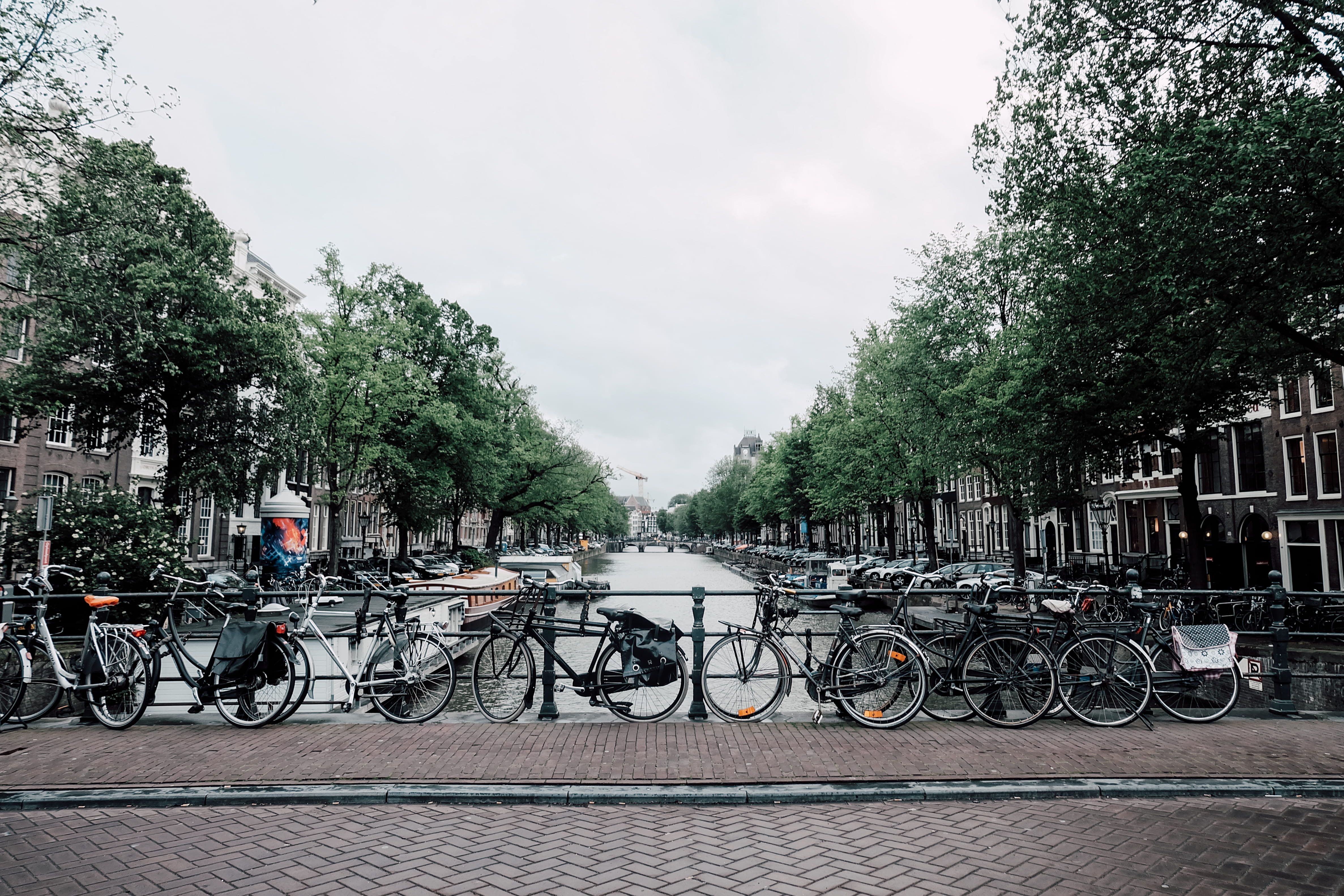 plant, stationary, mode of transportation, day, outdoors, railing, land vehicle, nature, dayime, bicycle, parked, cloud - sky, parking, water, 4K, canal, HD Wallpaper