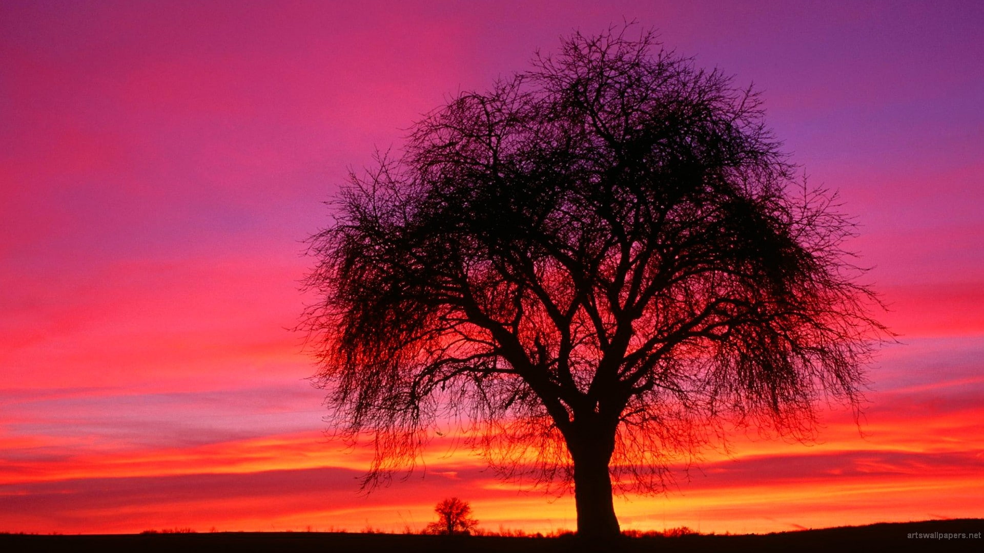 trees, shilouettes, landscape, sky, nature, sunset, 1080P, HD Wallpaper