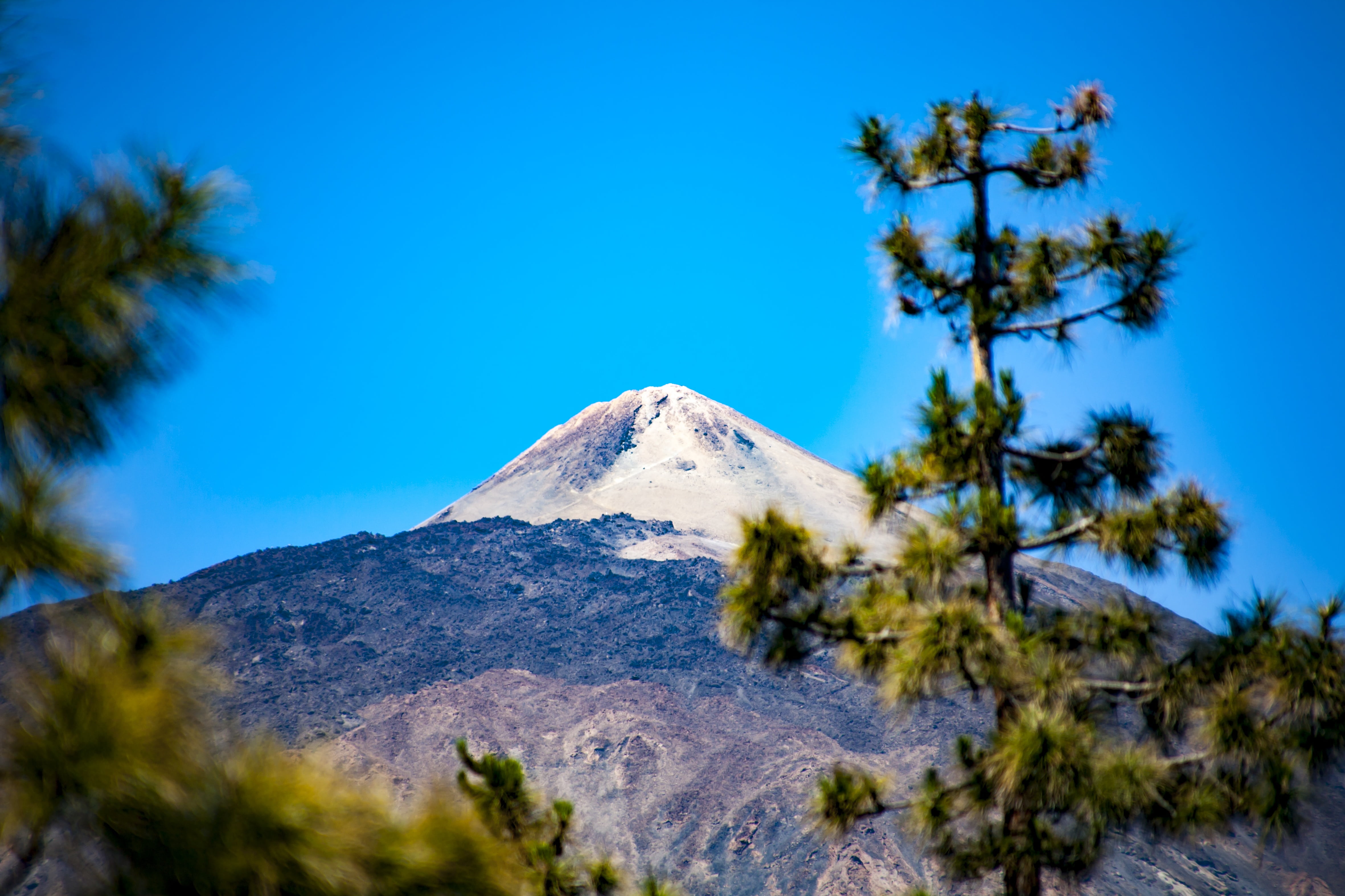 clear sky, nature, mountain range, winter, pine tree, snowcapped mountain, scenics - nature, canary islands, plant, blue, mountain peak, tenerife, volcano, HD Wallpaper