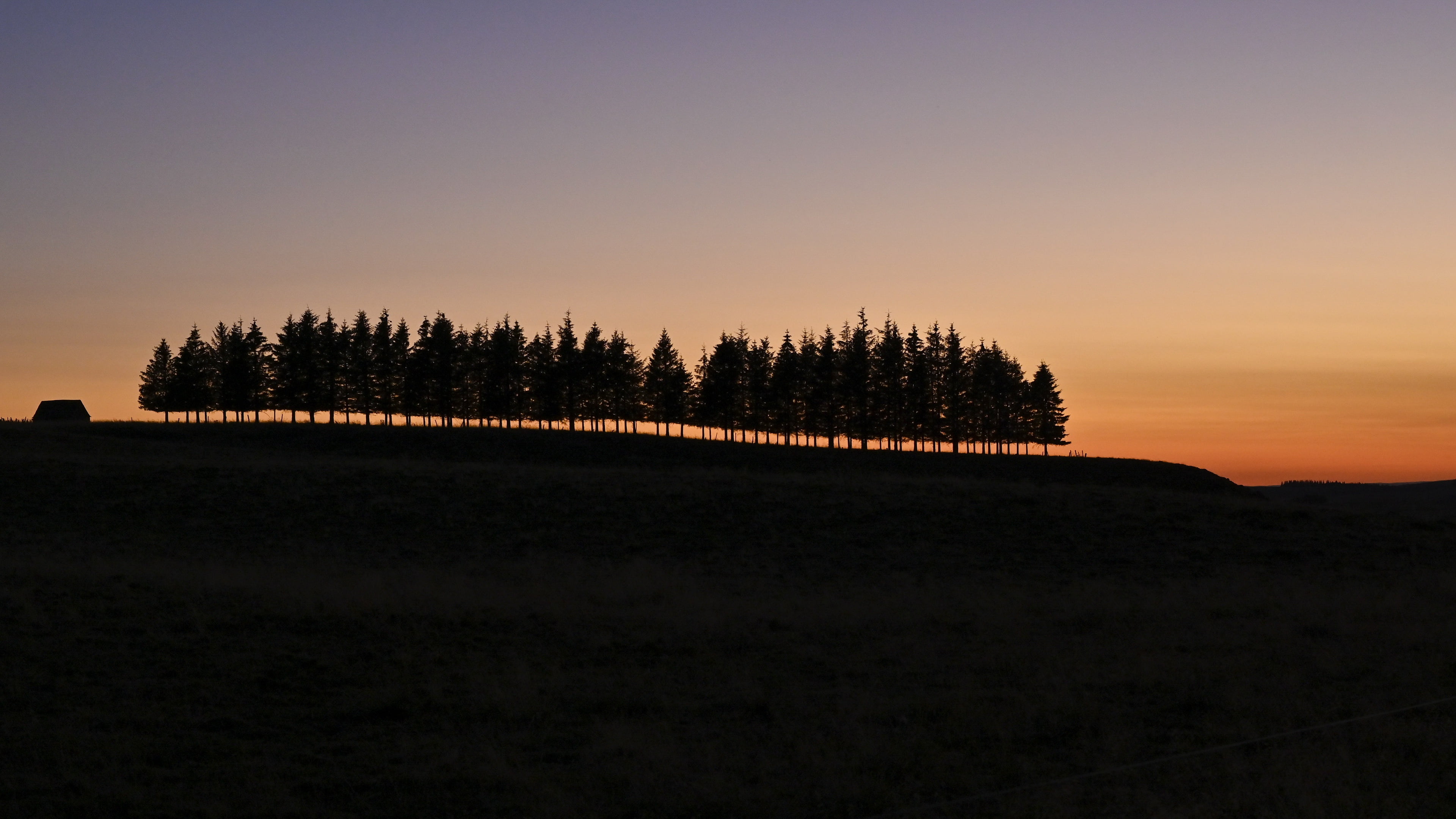 4K, trees, sunset, nature, landscape, shilouettes, HD Wallpaper
