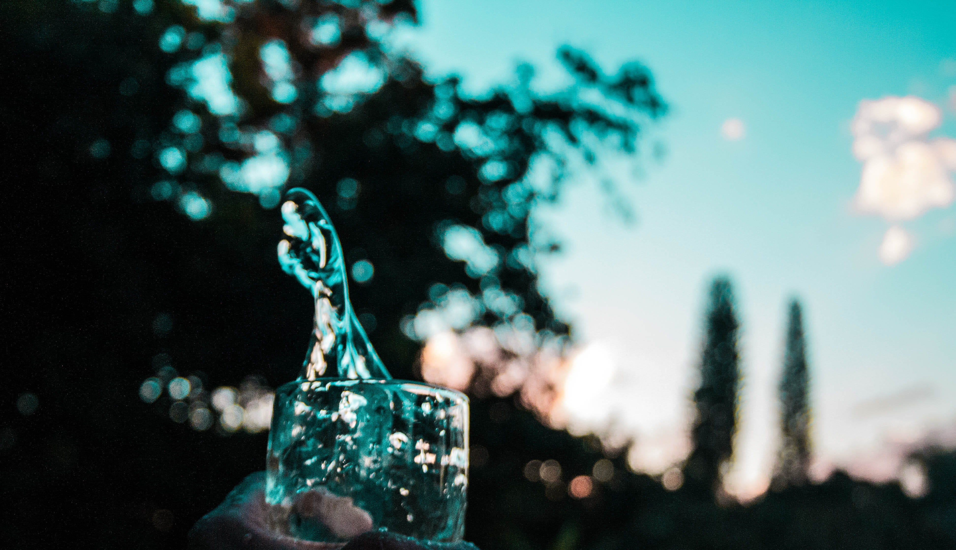 zeframe, water, canon, motion, 4K, background, close-up, focus on foreground, shilouette, indoors, sky, transparent, glasswithwater, refreshment, plant, HD Wallpaper