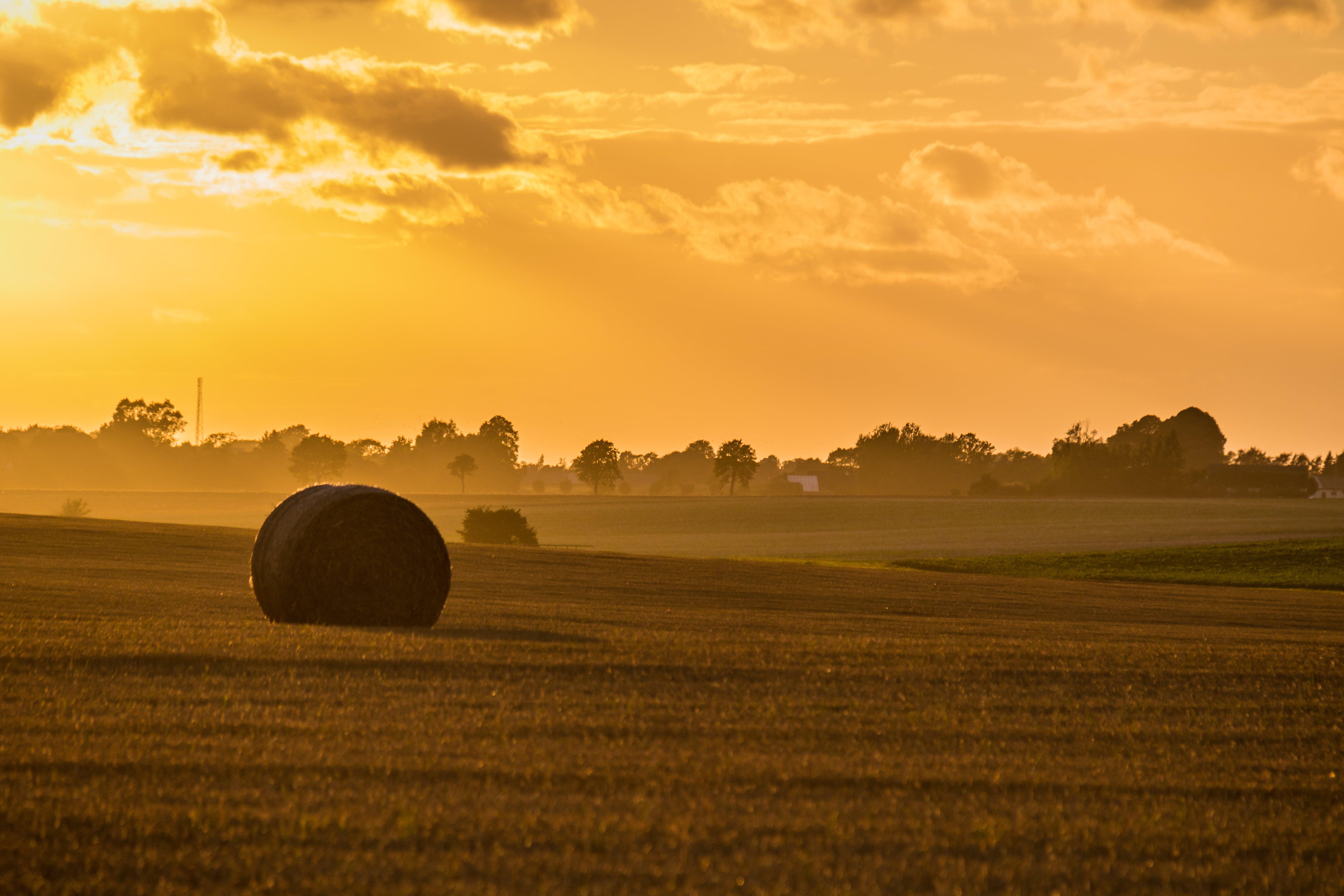 outdoors, countryside, bale, rural Scene, focal_length, cloud, field, hay, f/3.5, nature, yellow, city, country, sky, 5K, gold Colored, landskap, 760d, HD Wallpaper