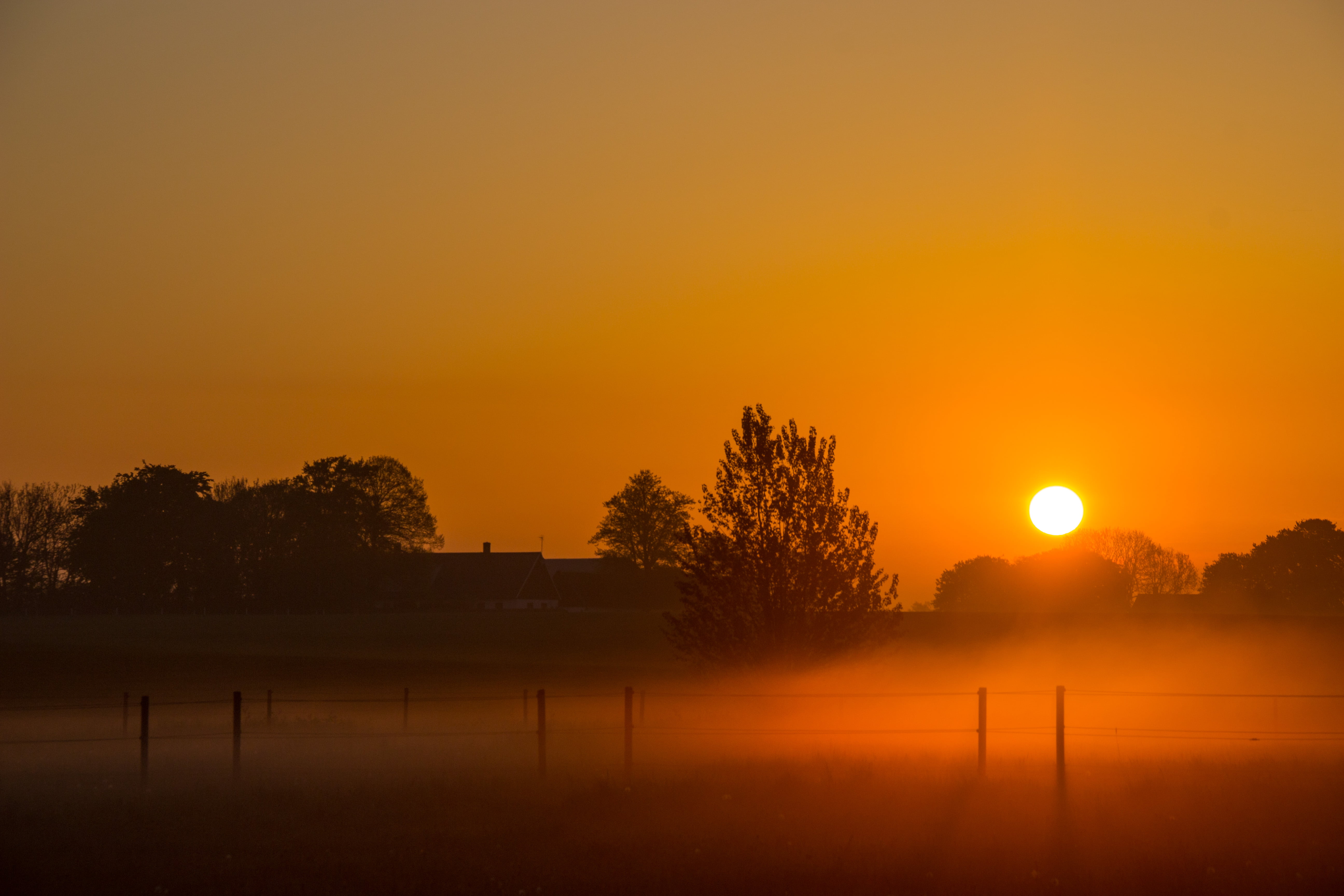 mist, f/3.5, sunrise - Dawn, sunset, 90 mm, model, 5K, silhouette, canon eos 100d, city, geo, landskap, ef, ƒ / 10, yard, camera, landscape, s18, morning, HD Wallpaper