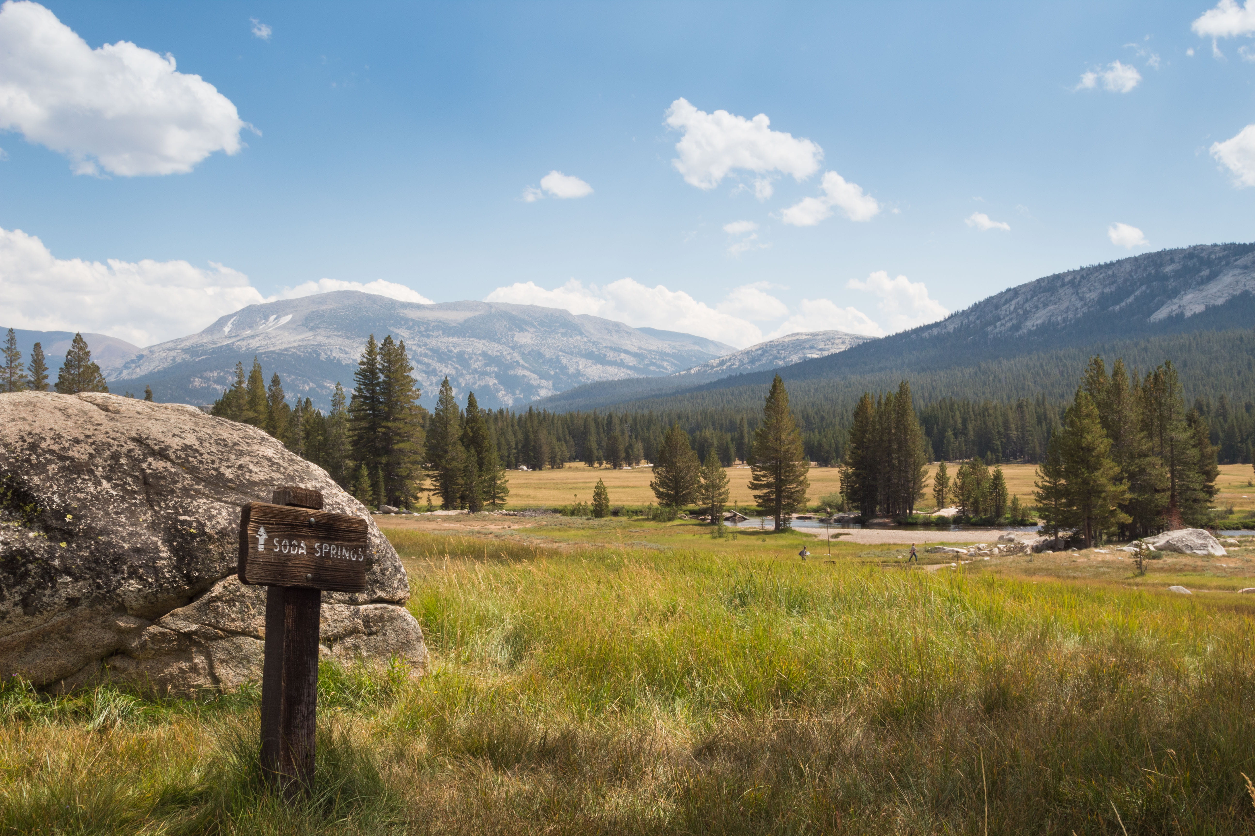 united states, field, trees, meadow, day, cloud - sky, sky, non-urban scene, idyllic, tranquility, outdoors, mountain peak, environment, mountain, plant, HD Wallpaper