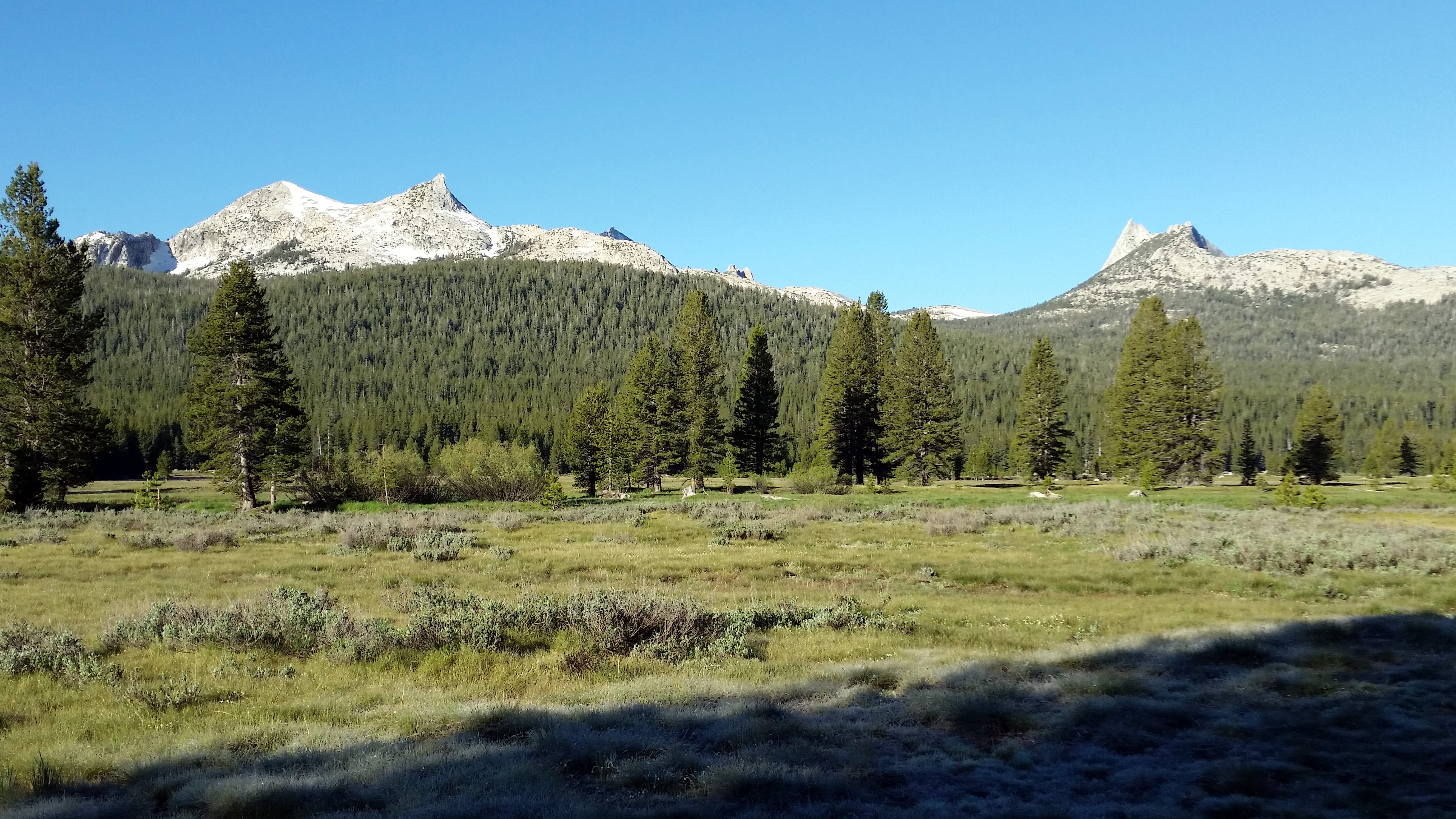 scenics - nature, plant, beauty in nature, 5K, mountain, nature, land, tranquility, day, forest, pine woodland, mountain range, woodland, landscape, mountain peak, HD Wallpaper