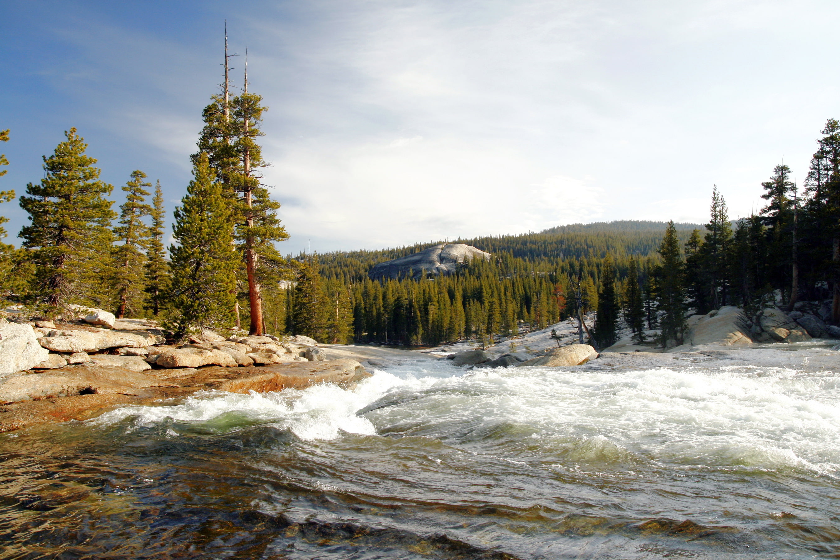 stones, forest, river, Yosemite National Park, USA, Tuolumne, trees, CA, 2K, shore, the rapid flow, for, HD Wallpaper