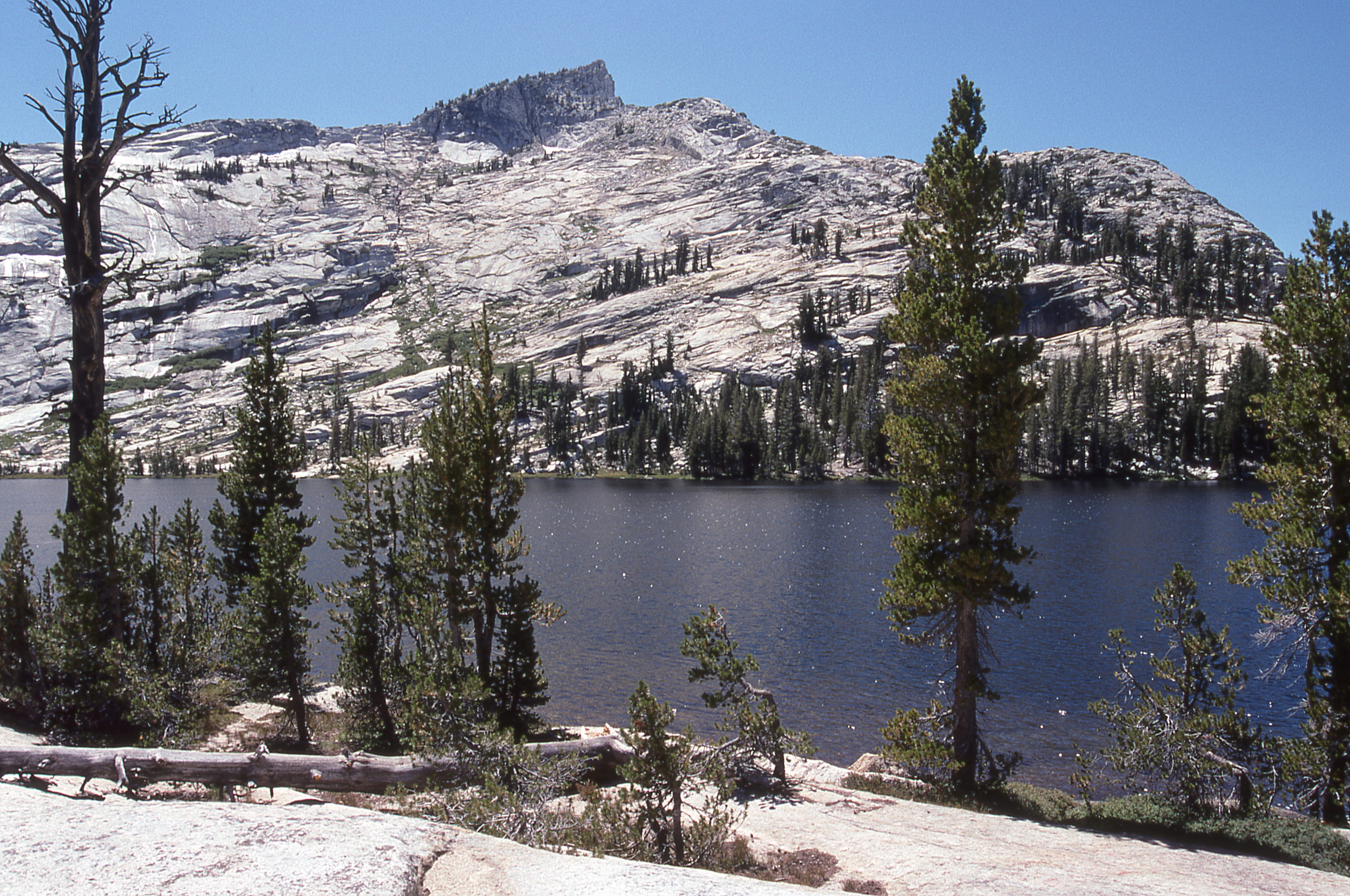 water, scenics - nature, idyllic, outdoors, winter, mountain, tuolomne, day, coniferous tree, lake, plant, tuolumne county, united states, sky, tree, nature, HD Wallpaper