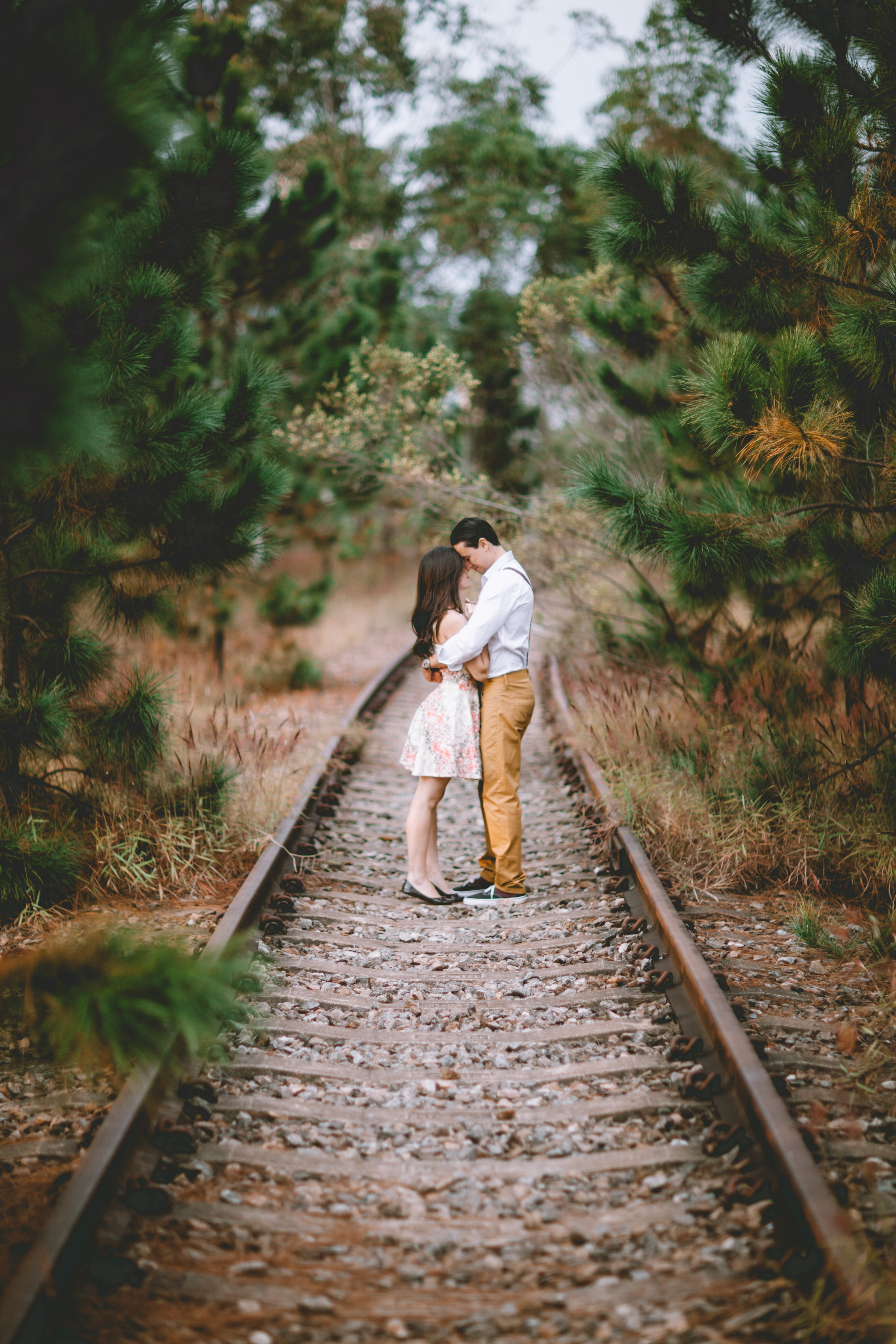 day, lifestyles, man, woman, walking, one person, hogging, footpath, romantic, full length, love, nature, grooms, couple kissing, boyfriends, couple in love, Phone HD Wallpaper