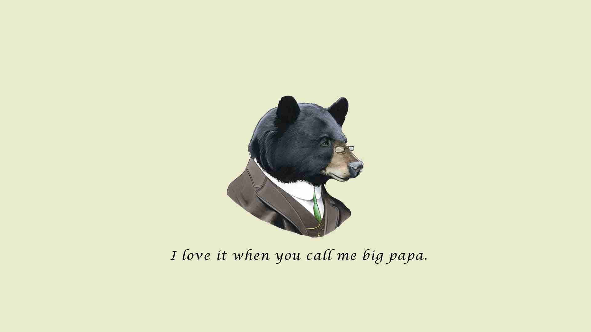 canine, head, quote, pets, western script, illustration, 1080P, indoors, fun, copy space, one animal, vertebrate, bear, man, domestic animals, dog, studio shot, HD Wallpaper